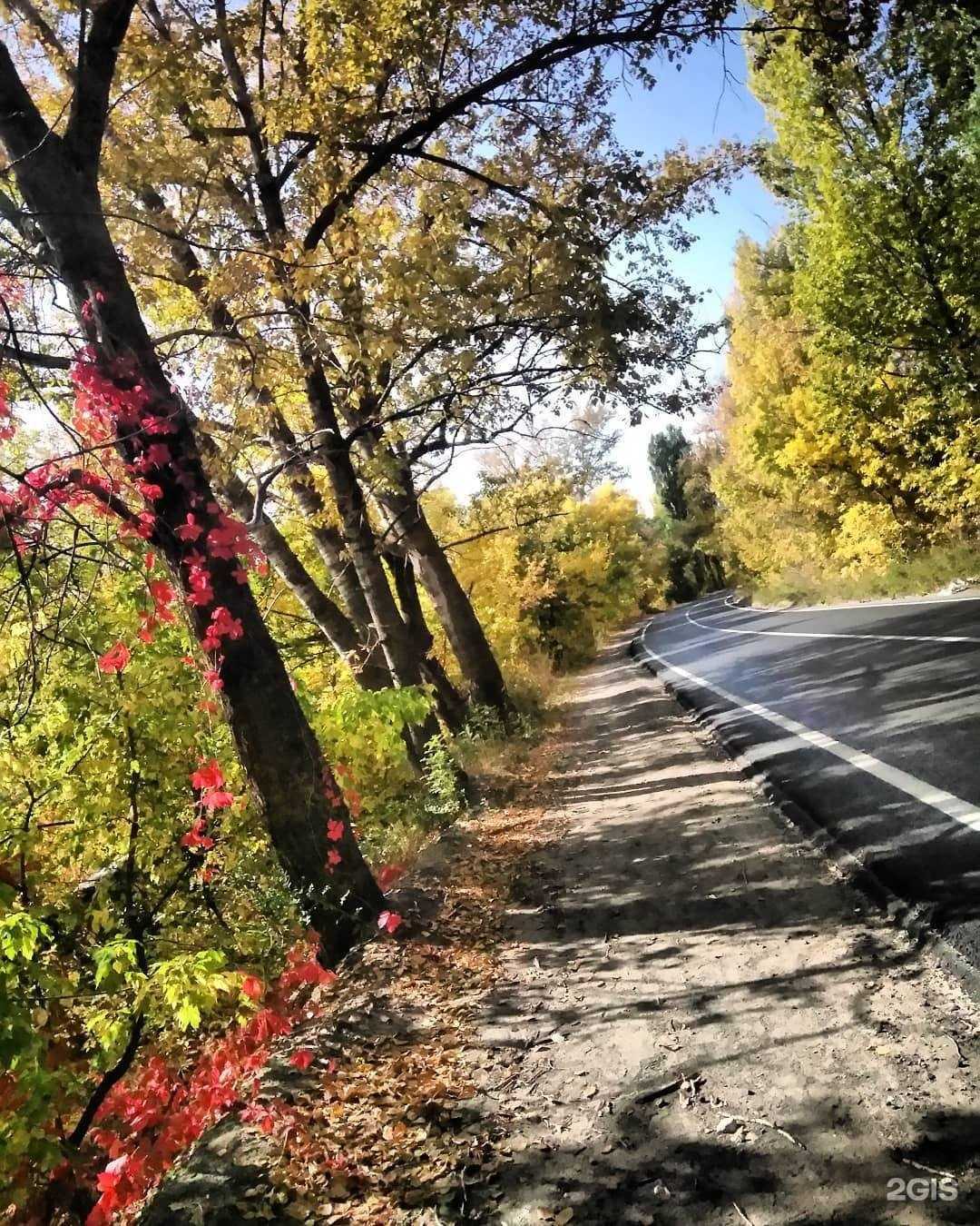 Отзывы на компанию Регион бизнес сервис в Саратове c фото