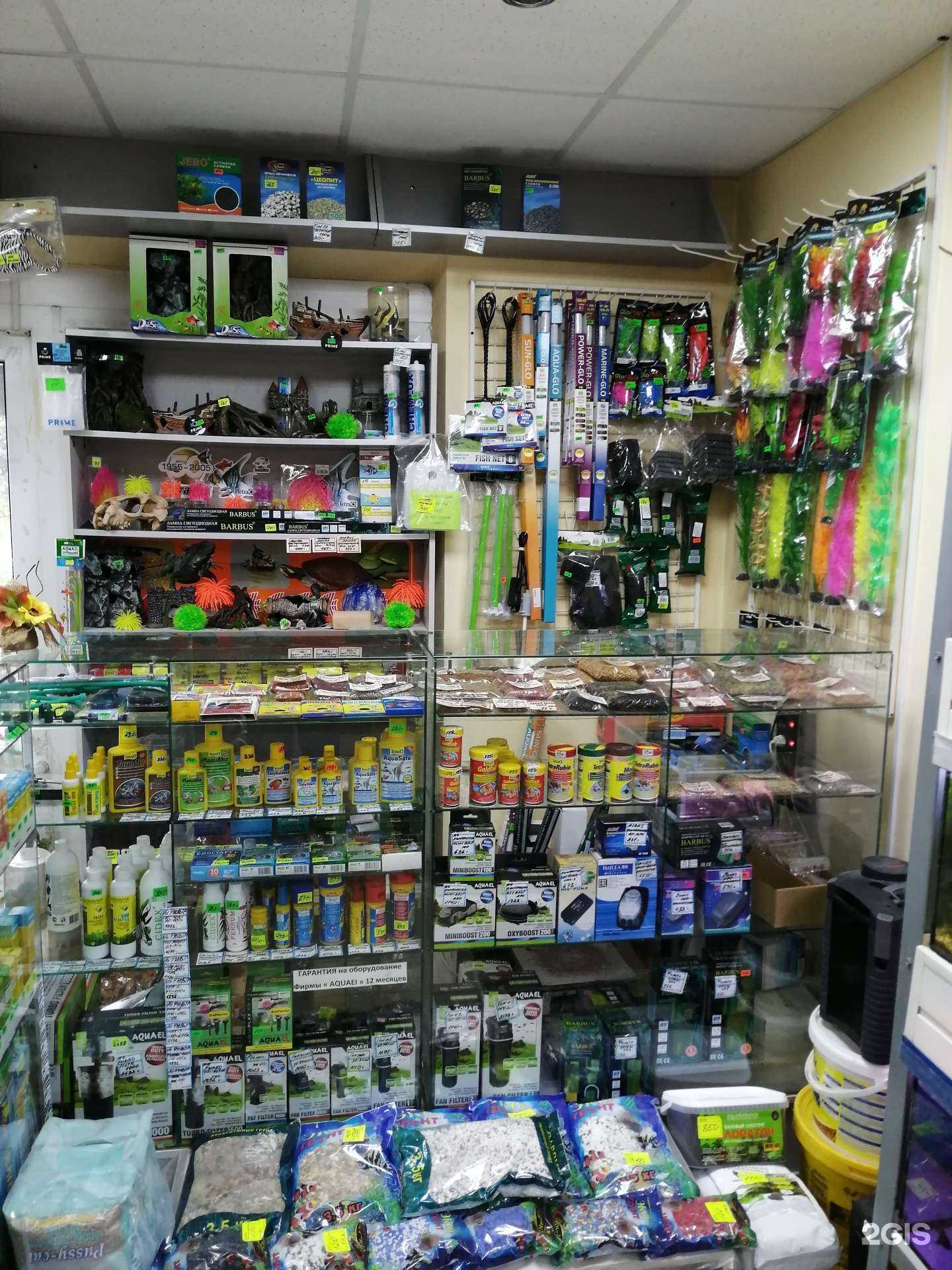 Отзывы на компанию Орнатус в Смоленске c фото