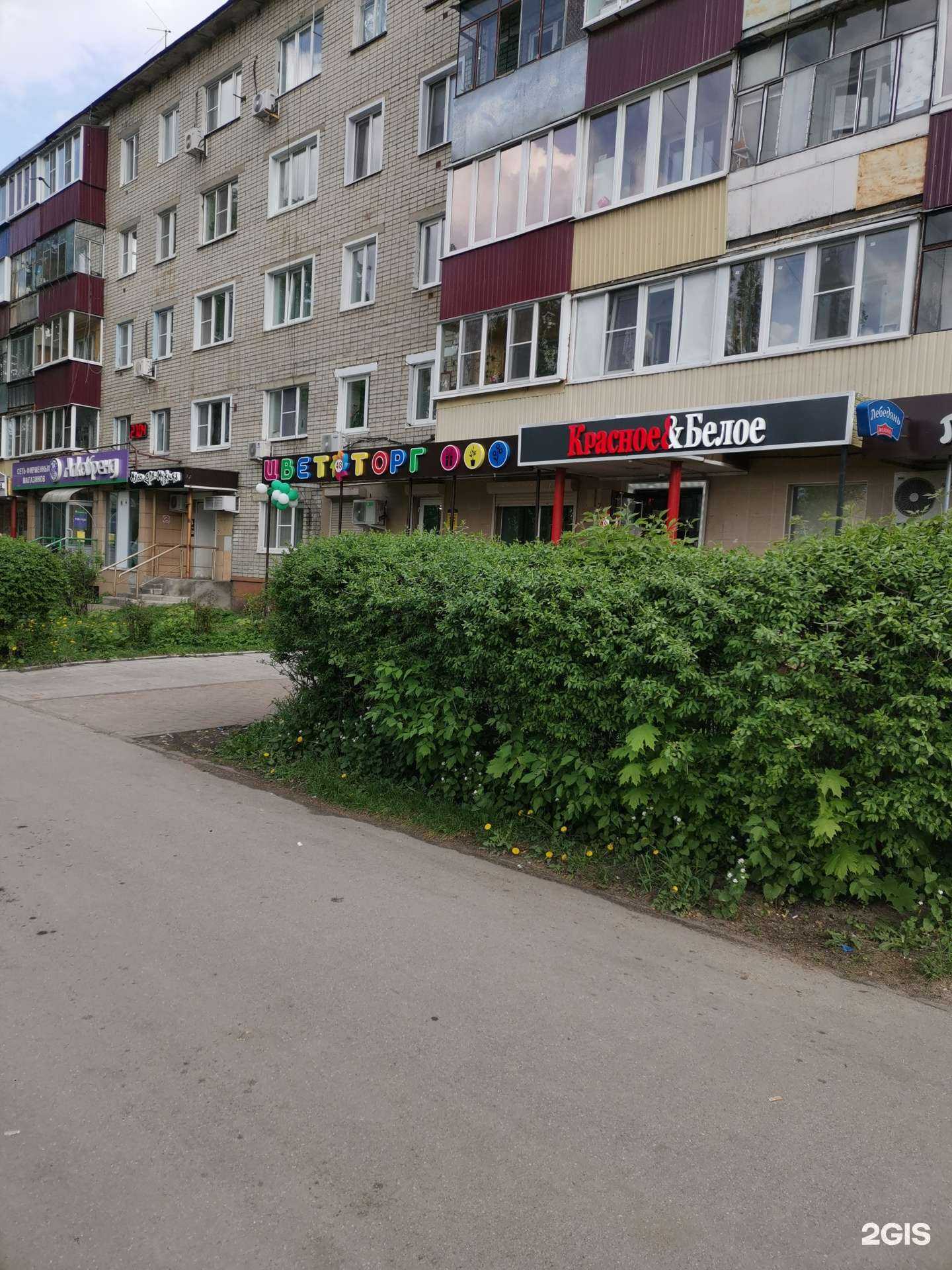 Отзывы на компанию Цветторг 48 в г. Липецк c фото