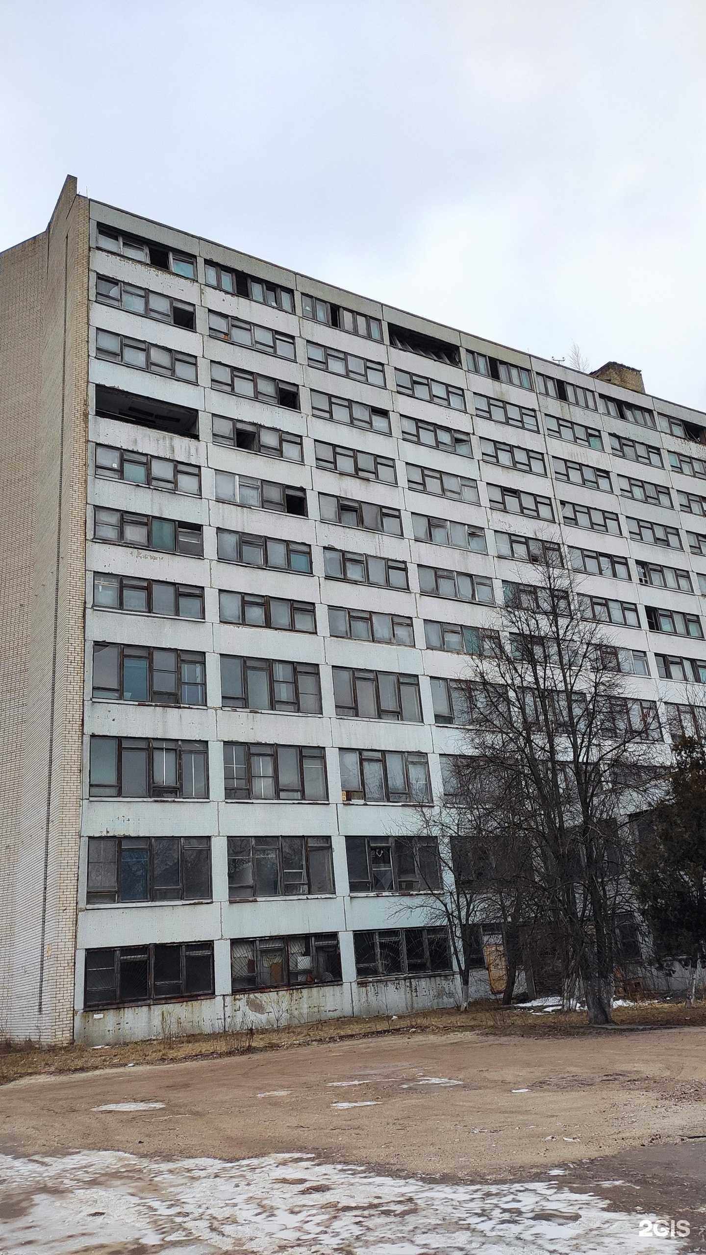 Отзывы на компанию Медведица в Курске c фото - фотография 2 из 2