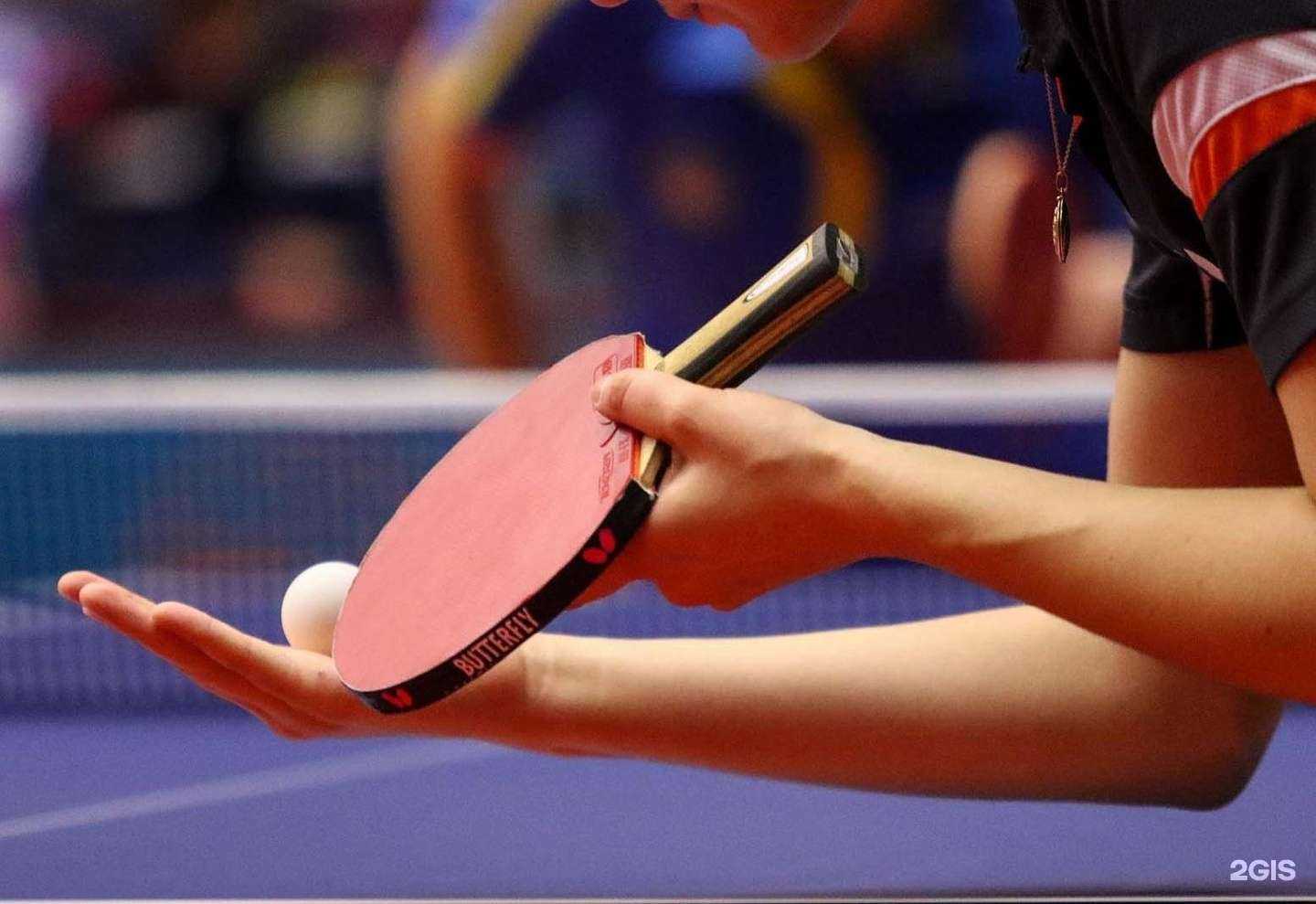 Отзывы на компанию Спортивная школа №4 в г. Златоуст c фото