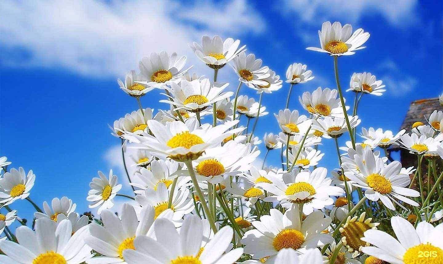 Отзывы на компанию Александр в Батайске c фото