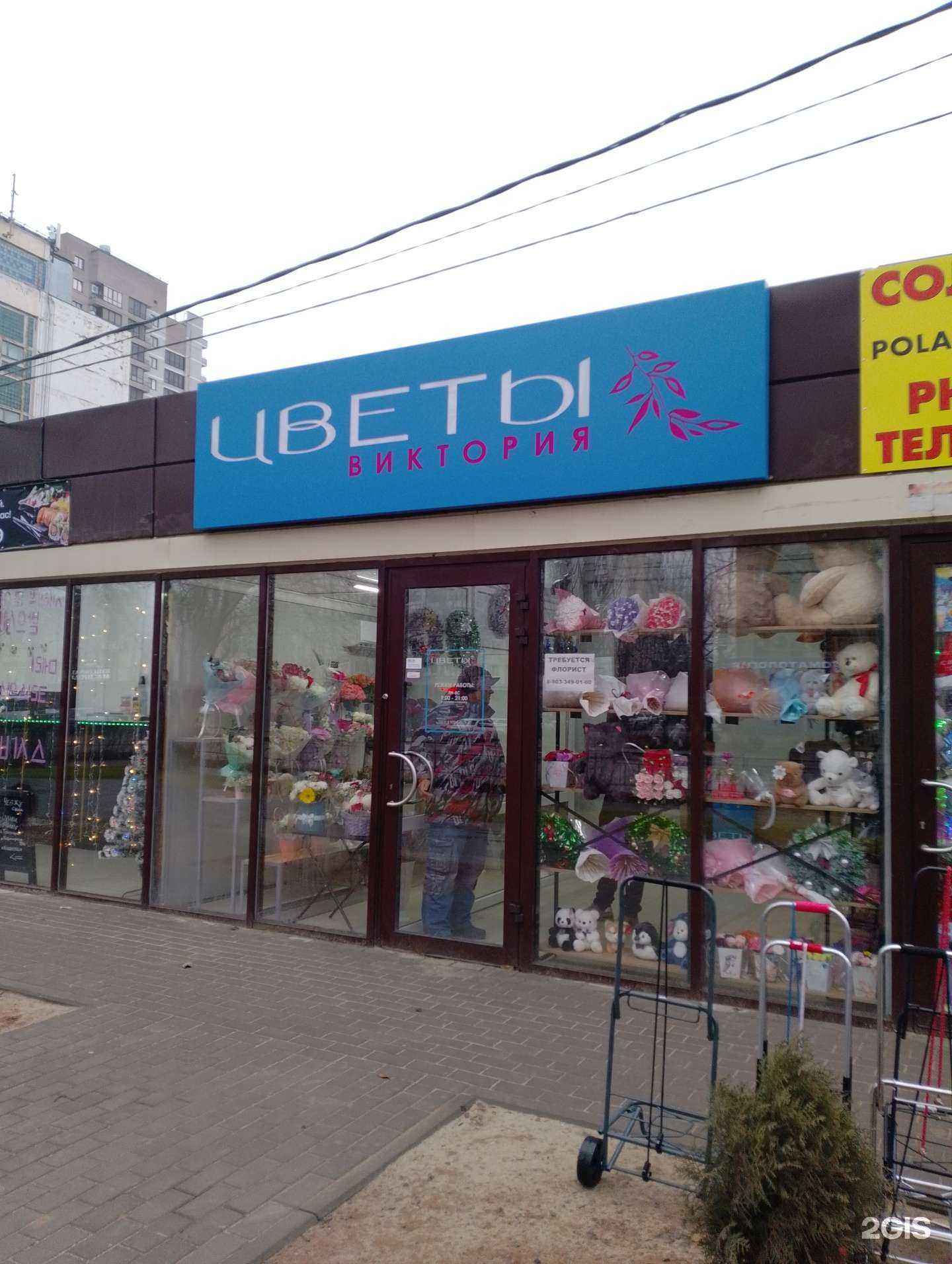 Отзывы на компанию Виктория в Волжском c фото