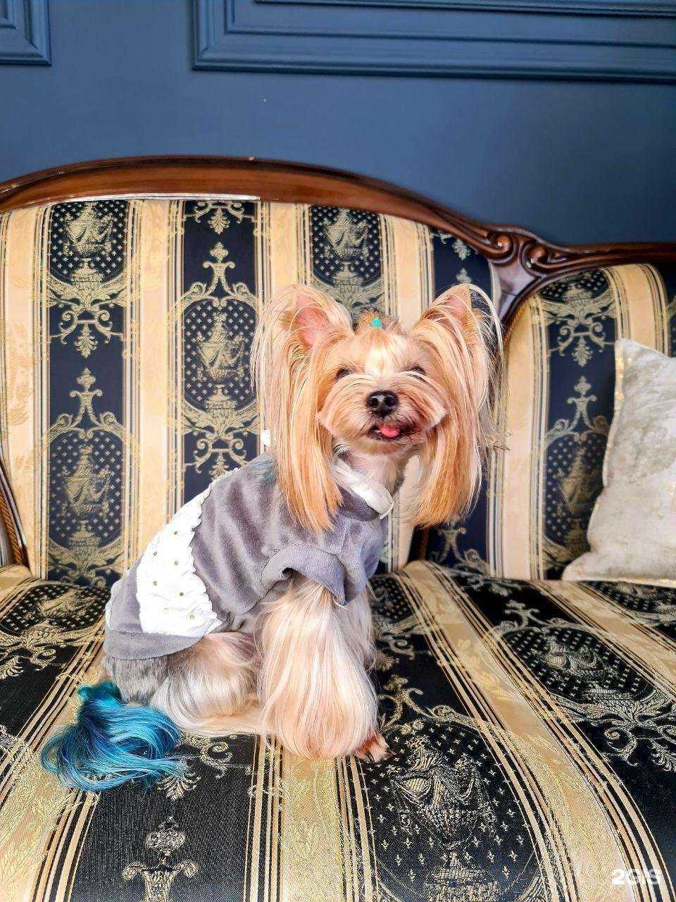 Отзывы на компанию Умка в Омске c фото