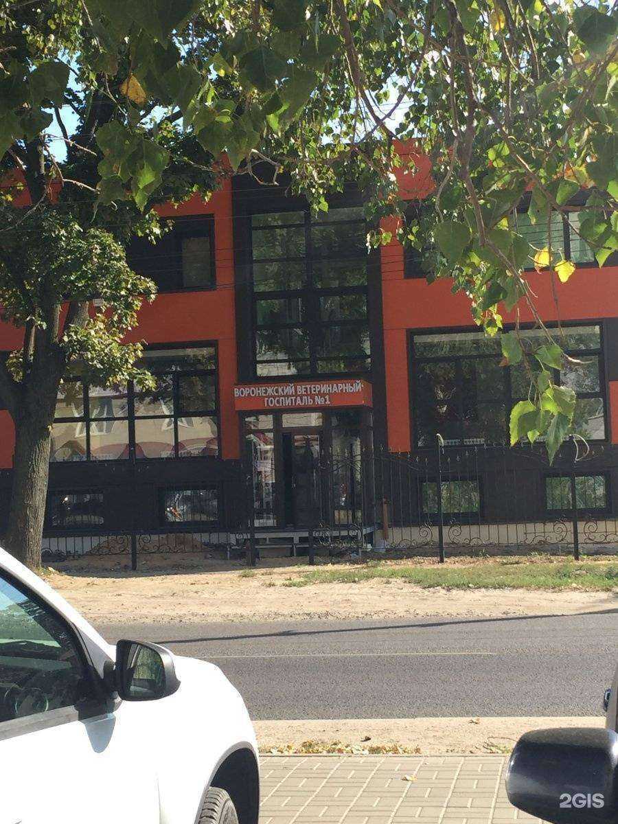 Отзывы на компанию Ветеринарный госпиталь №1 в Воронеже c фото - фотография 2 из 2