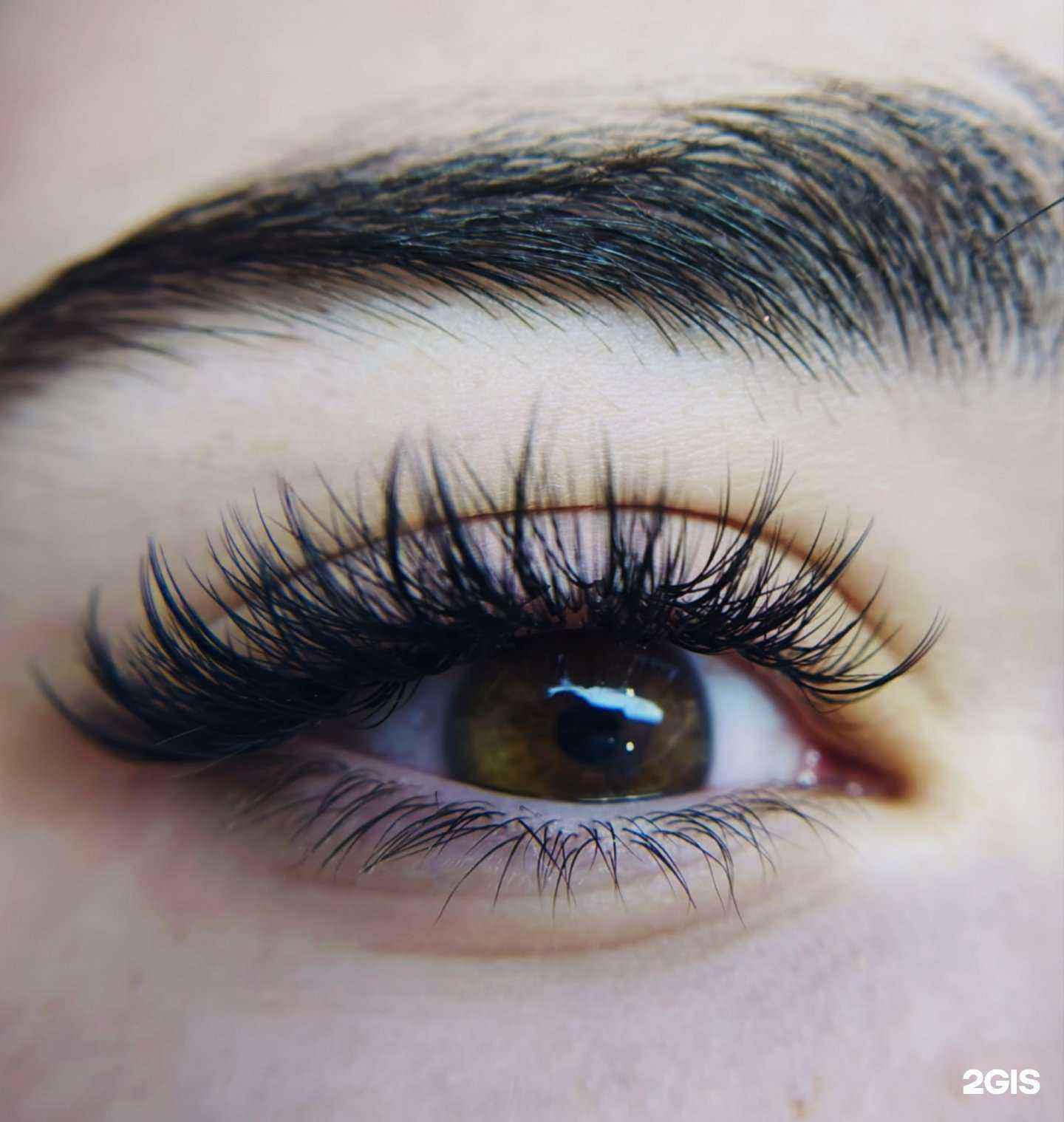 Отзывы на компанию На ресницах в Новосибирске c фото