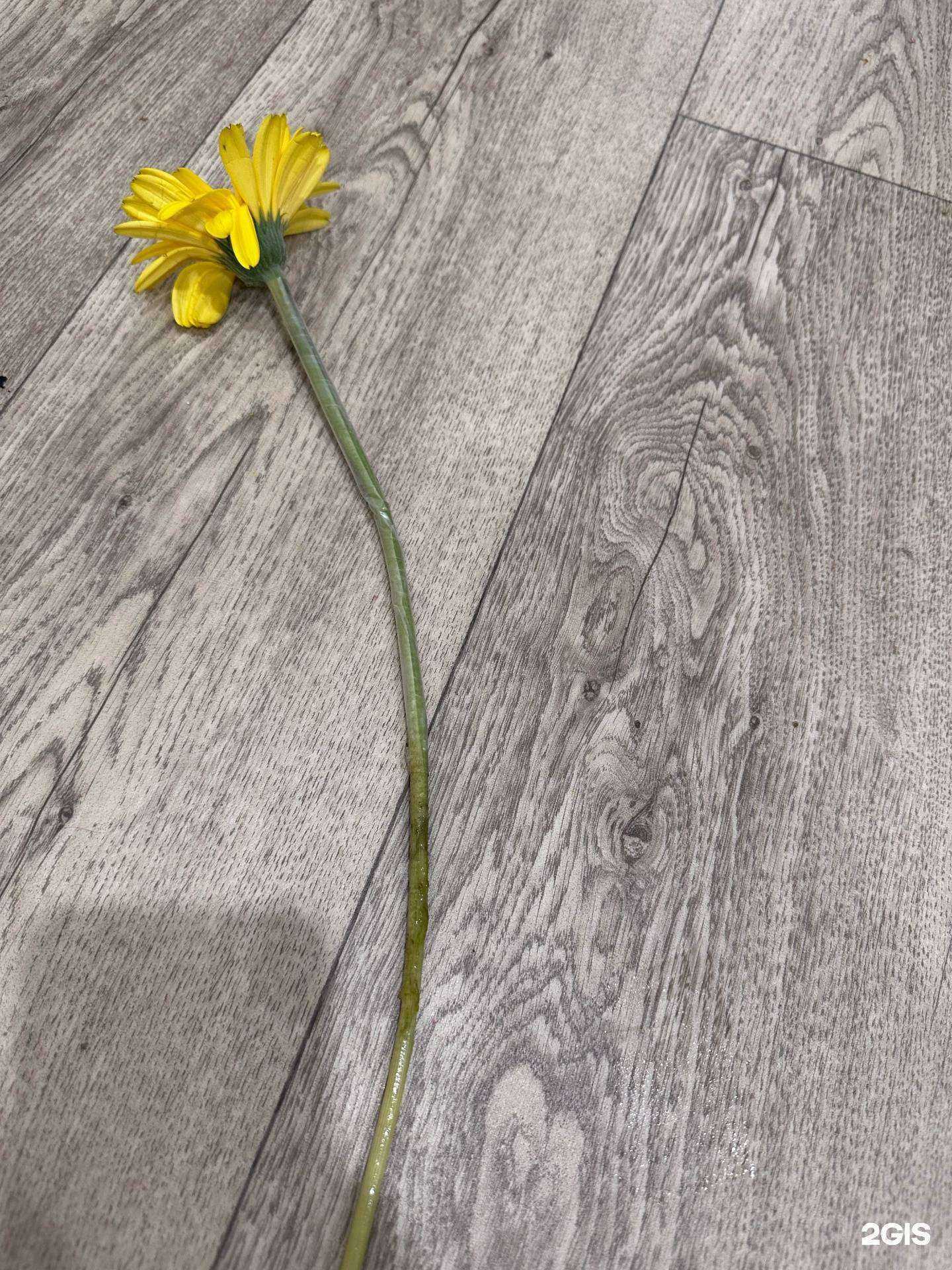 Отзывы на компанию Лавка букетов в Чите c фото