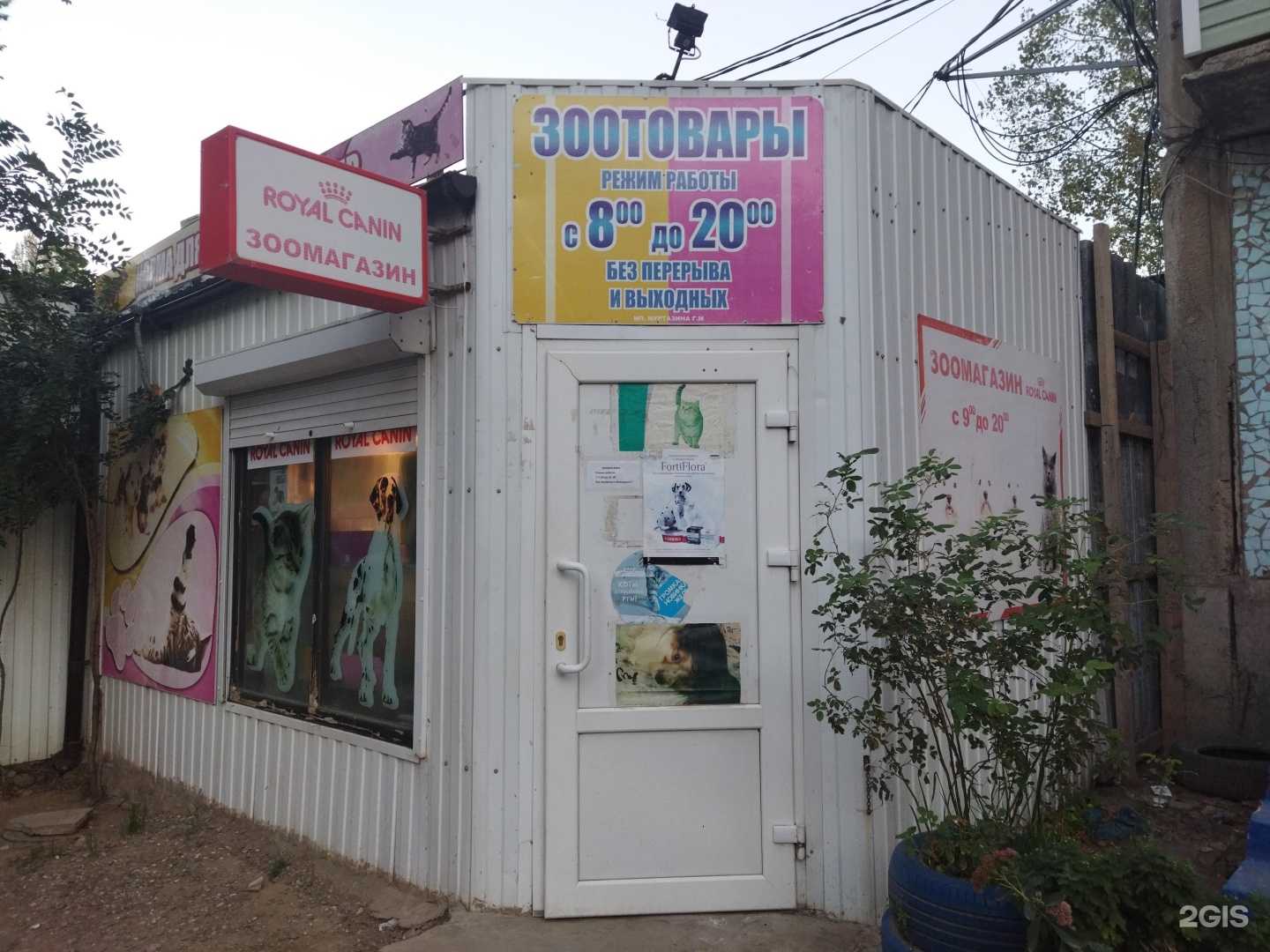 Отзывы на компанию Зоомагазин в Астрахани c фото