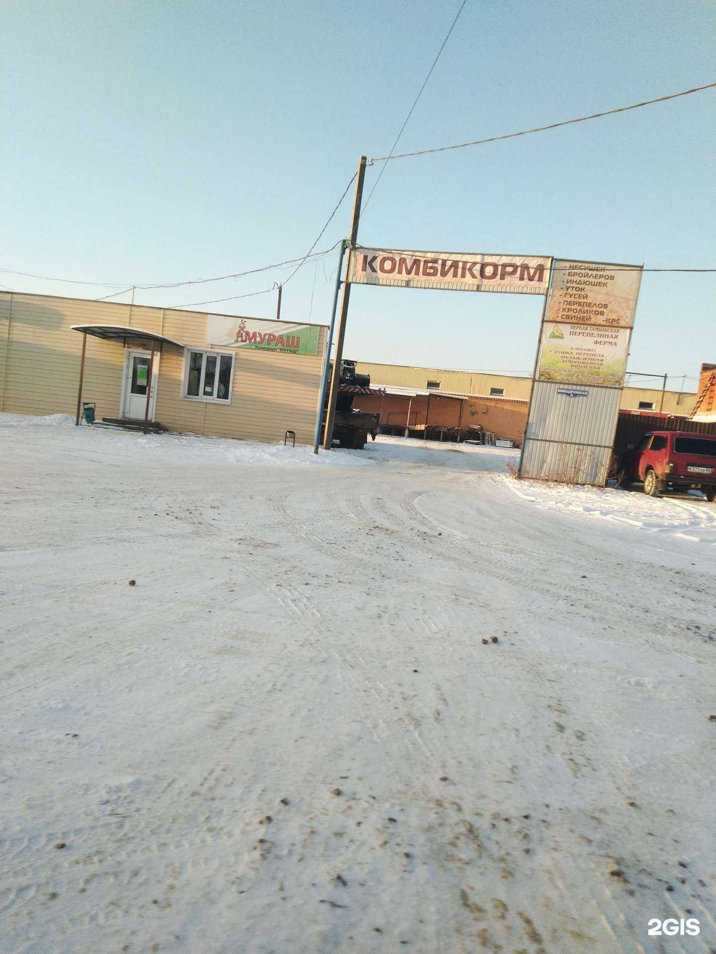 Отзывы на компанию Первая Тамбовская перепелиная ферма в г. Тамбов c фото