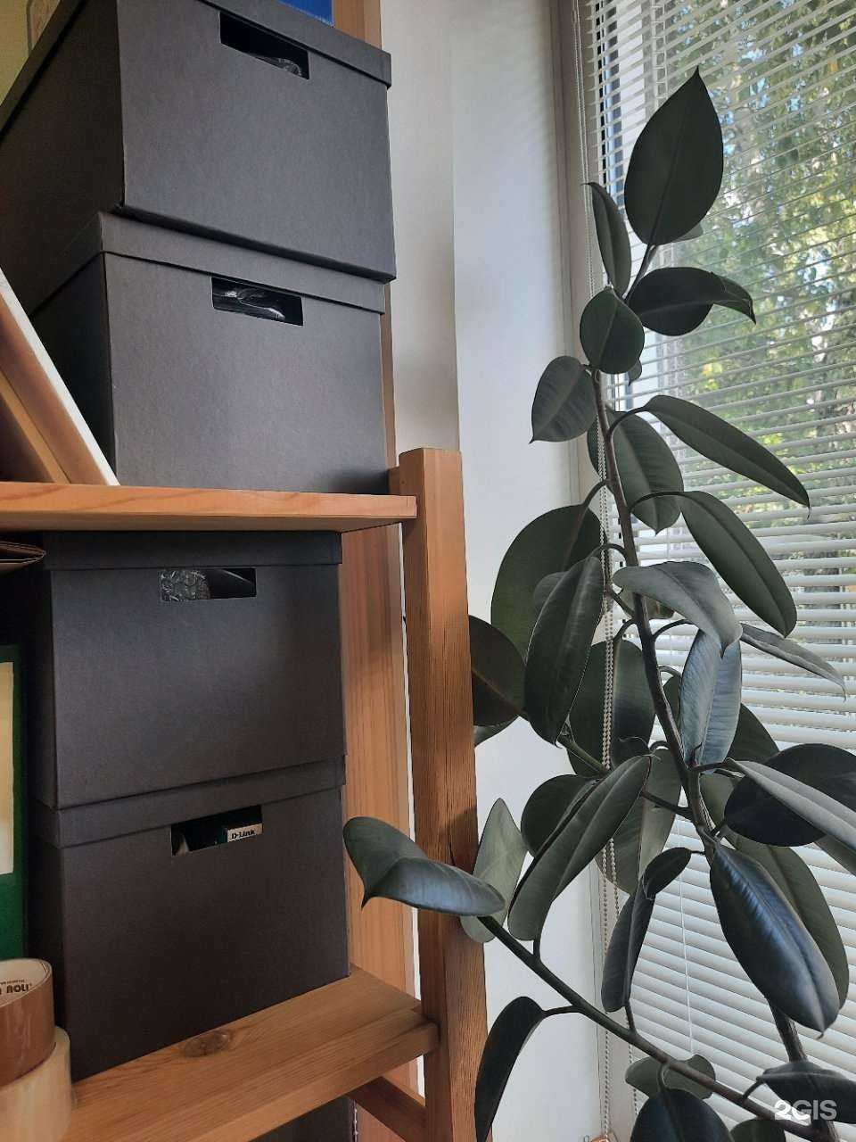 Отзывы на компанию Эккон в г. Новосибирск c фото