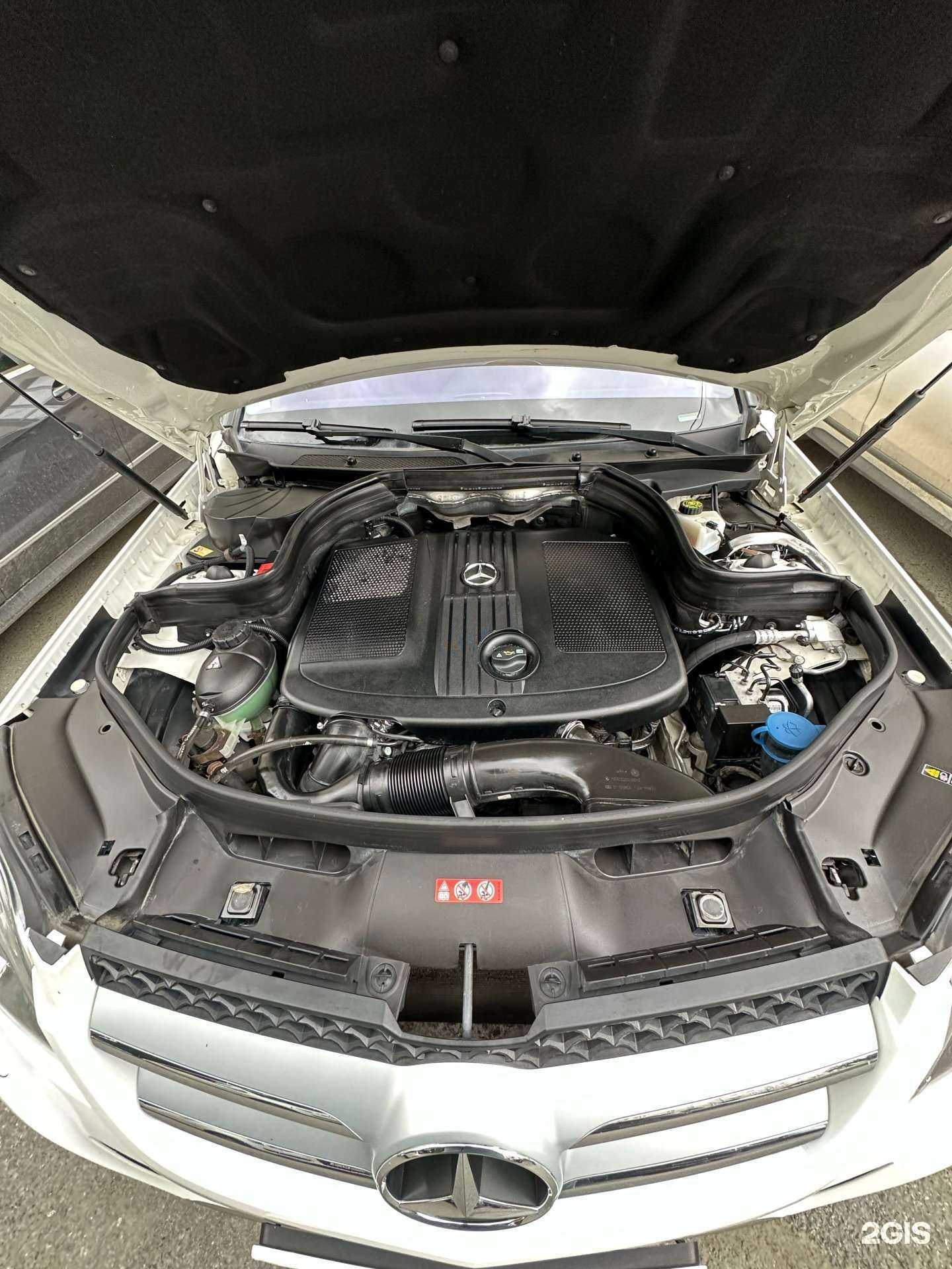 Отзывы на компанию СпортЛайн в Екатеринбурге c фото