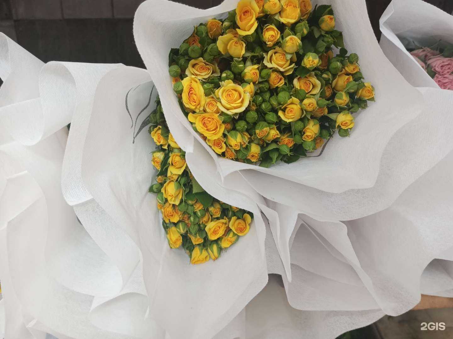 Отзывы на компанию Оранжерея в Владивостоке c фото