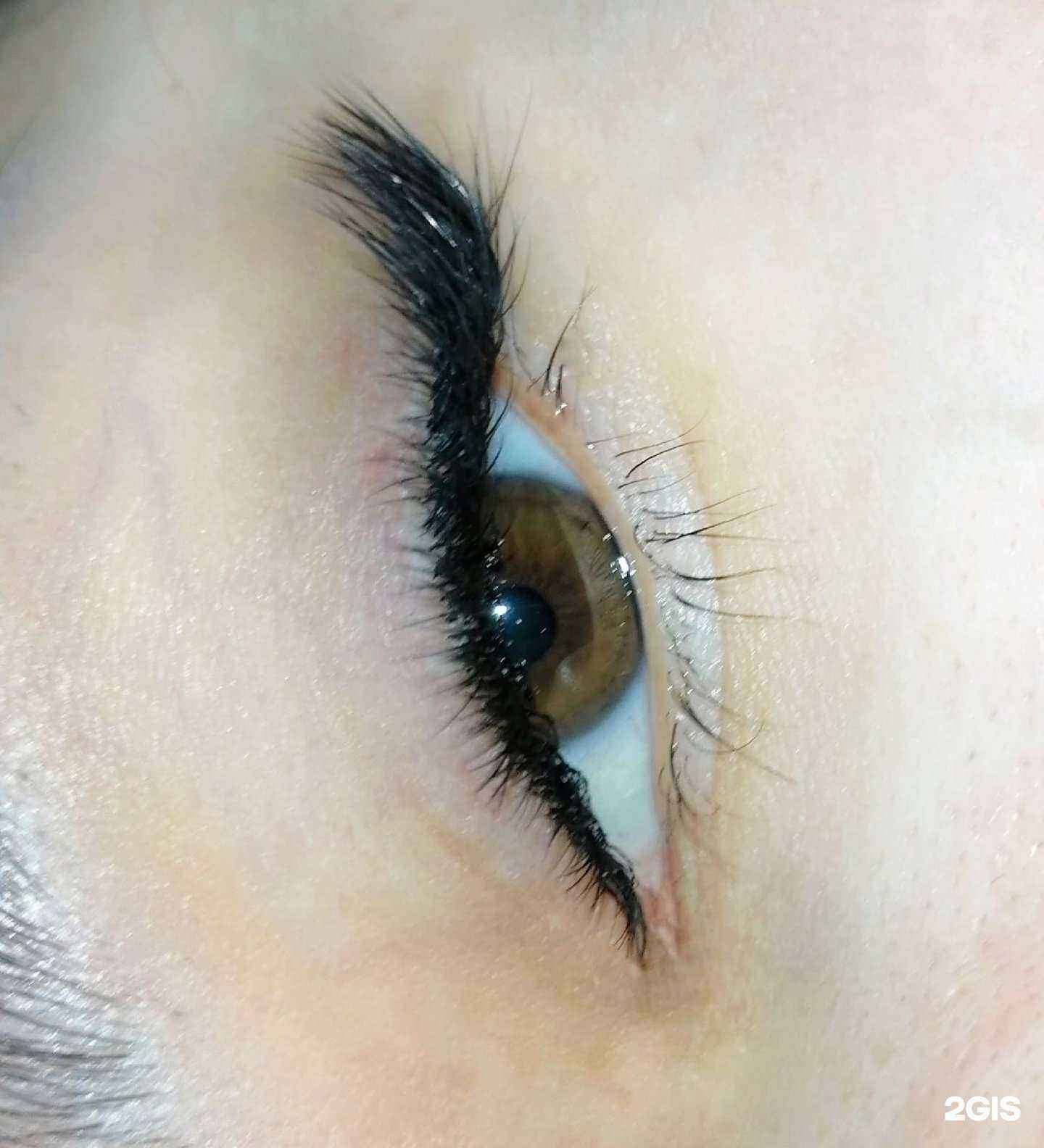 Отзывы на компанию Asii в Барнауле c фото