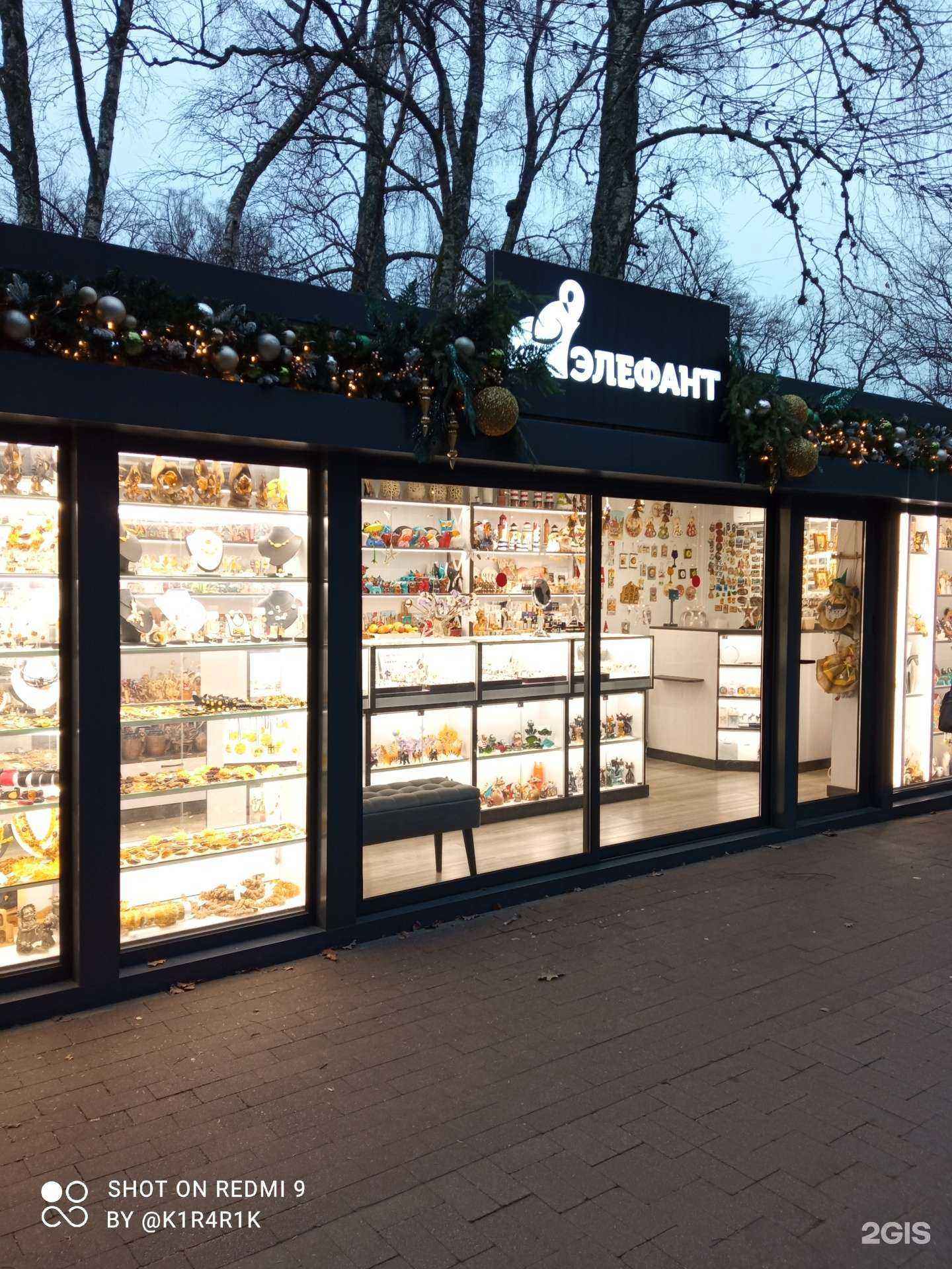 Отзывы на компанию Элефант в Светлогорске c фото