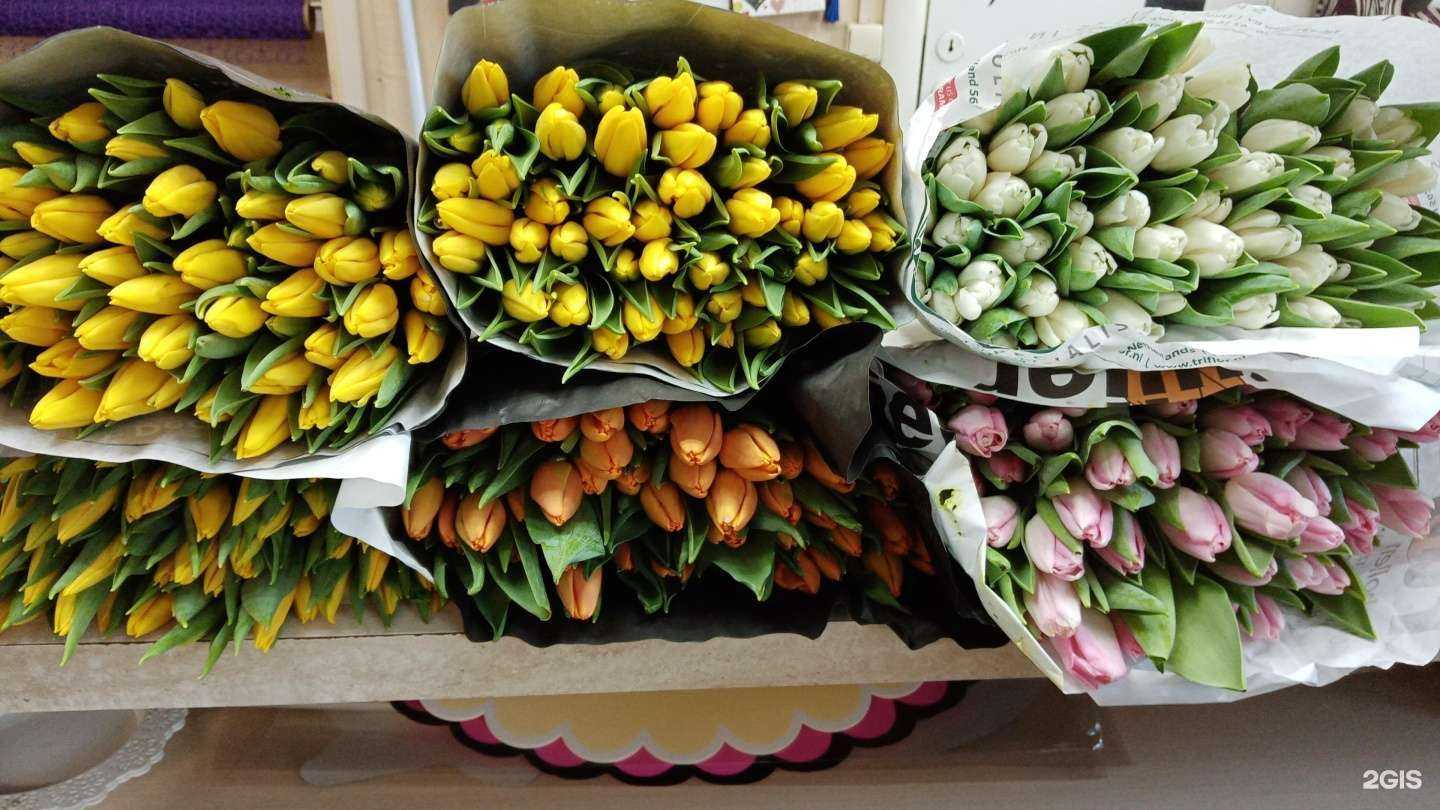 Отзывы на компанию Мир Цветов в г. Барнаул c фото