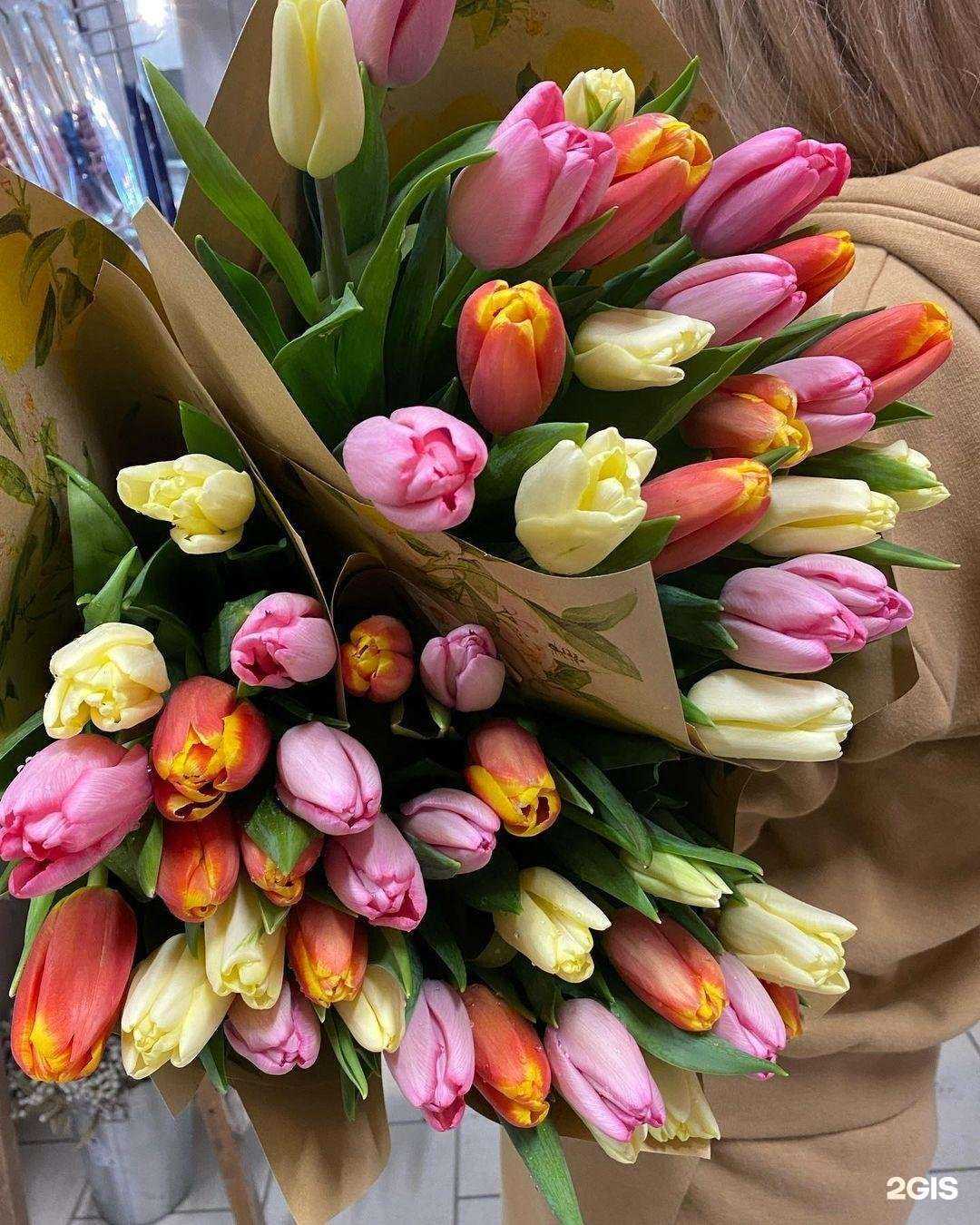 Отзывы на компанию Дом цветов в г. Кострома c фото