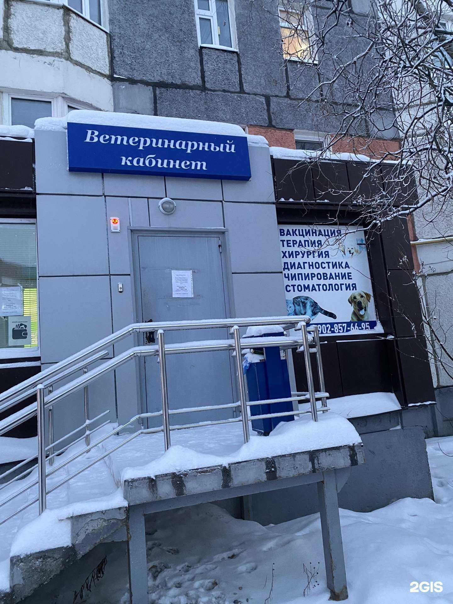 Отзывы на компанию Ветеринарный кабинет в г. Новый Уренгой c фото