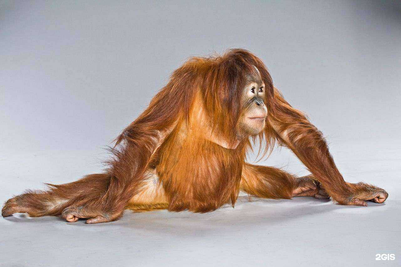 Отзывы на компанию Levita в Саратове c фото