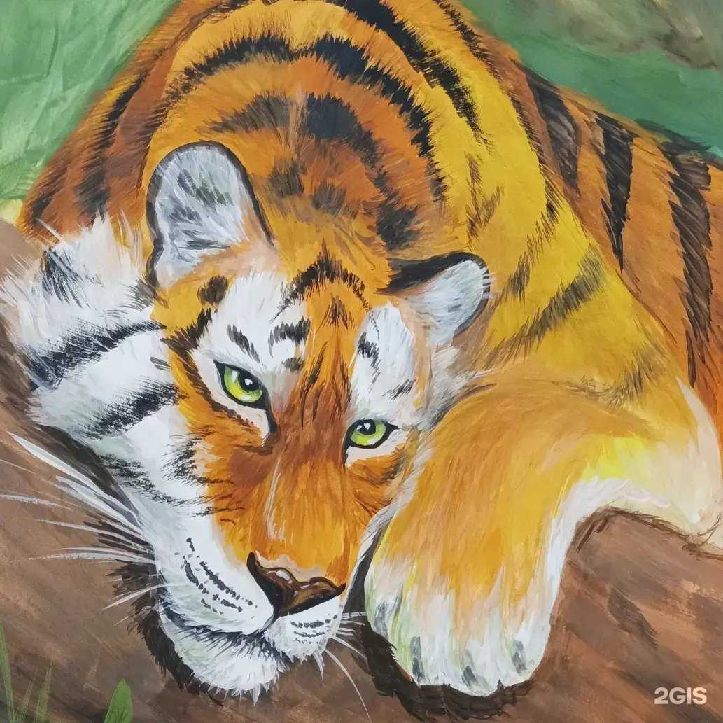 Отзывы на компанию Анима в Хабаровске c фото