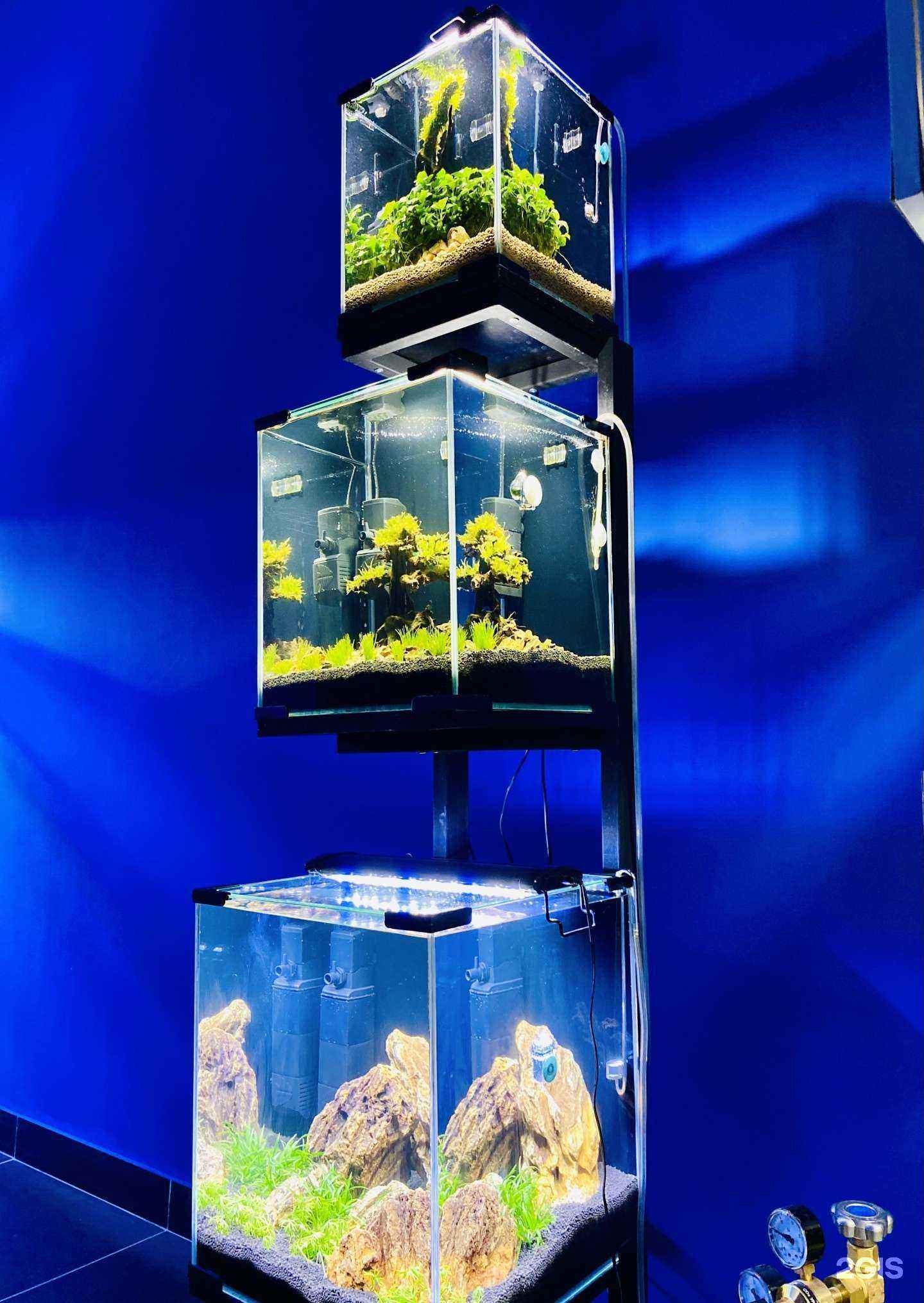 Отзывы на компанию Баловень в Новочебоксарске c фото