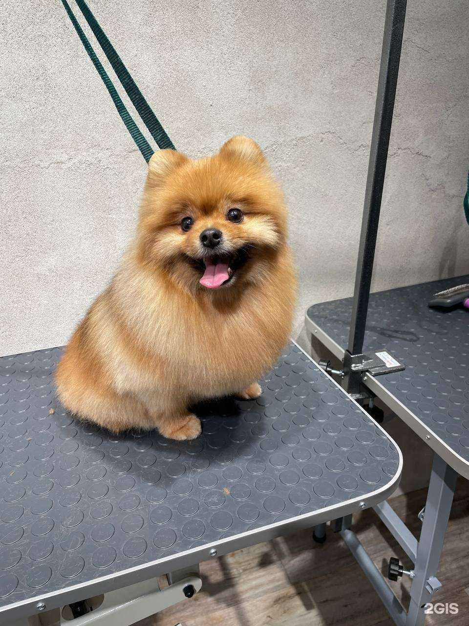 Отзывы на компанию ЧистоКуп в г. Иркутск c фото