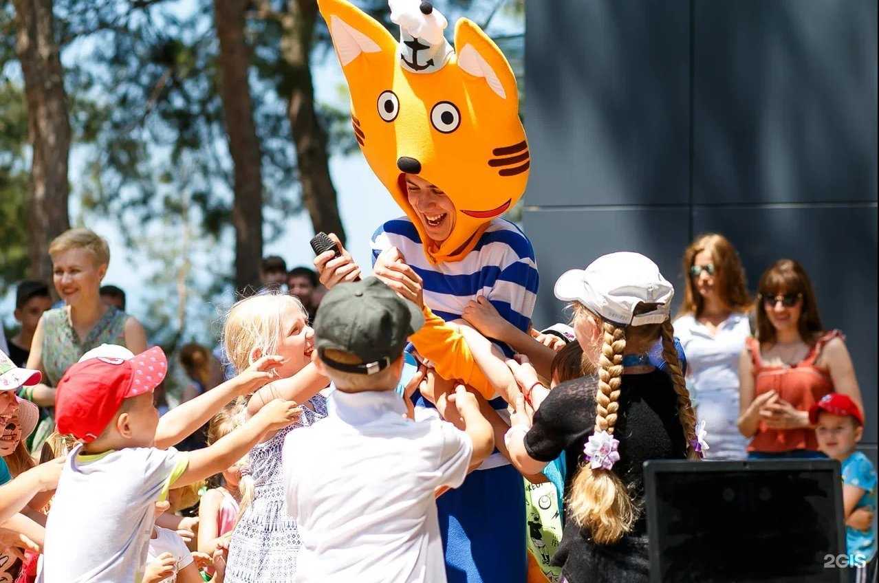 Отзывы на компанию Abrau junior в Геленджике c фото