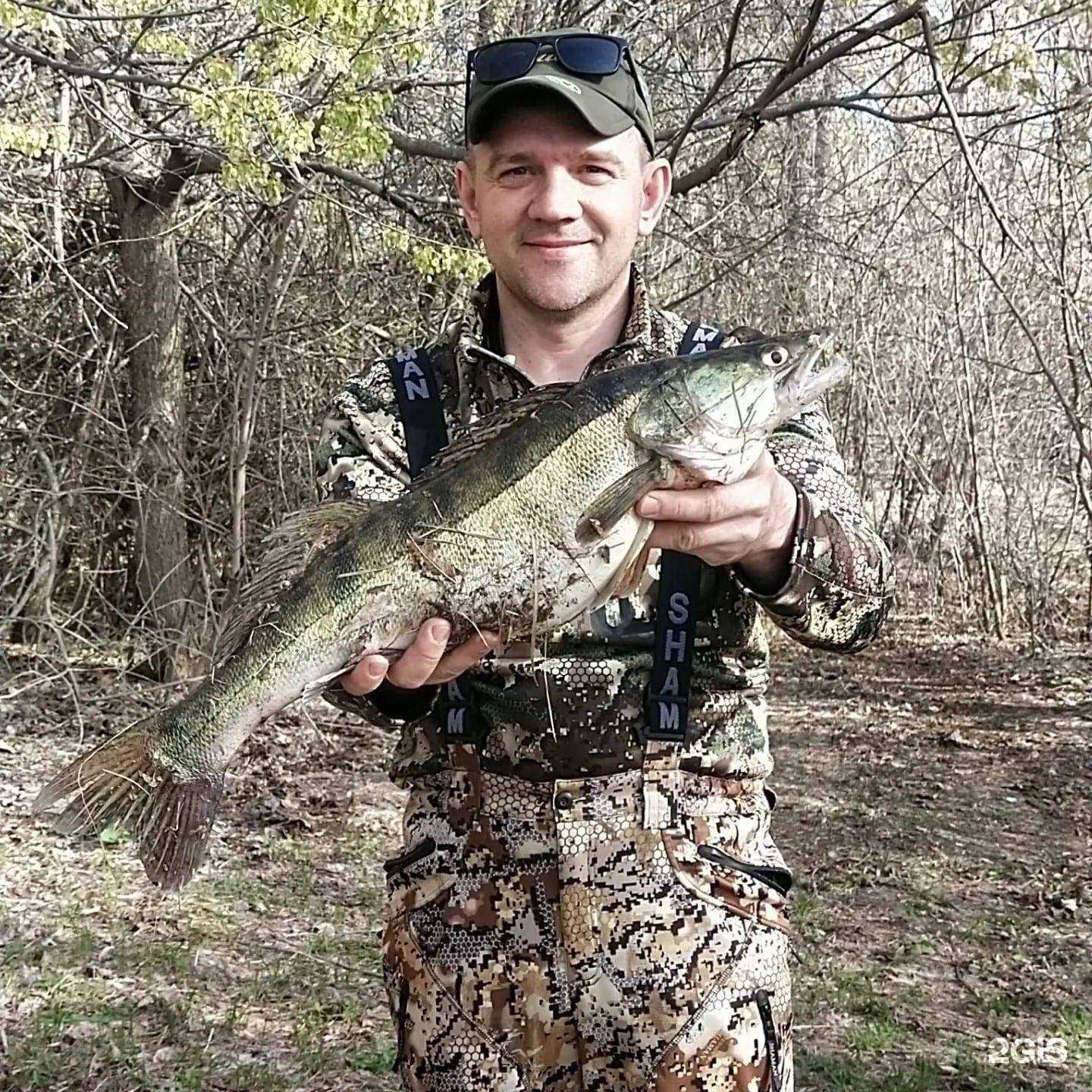 Отзывы на компанию Wormmax в Ростове-на-Дону c фото