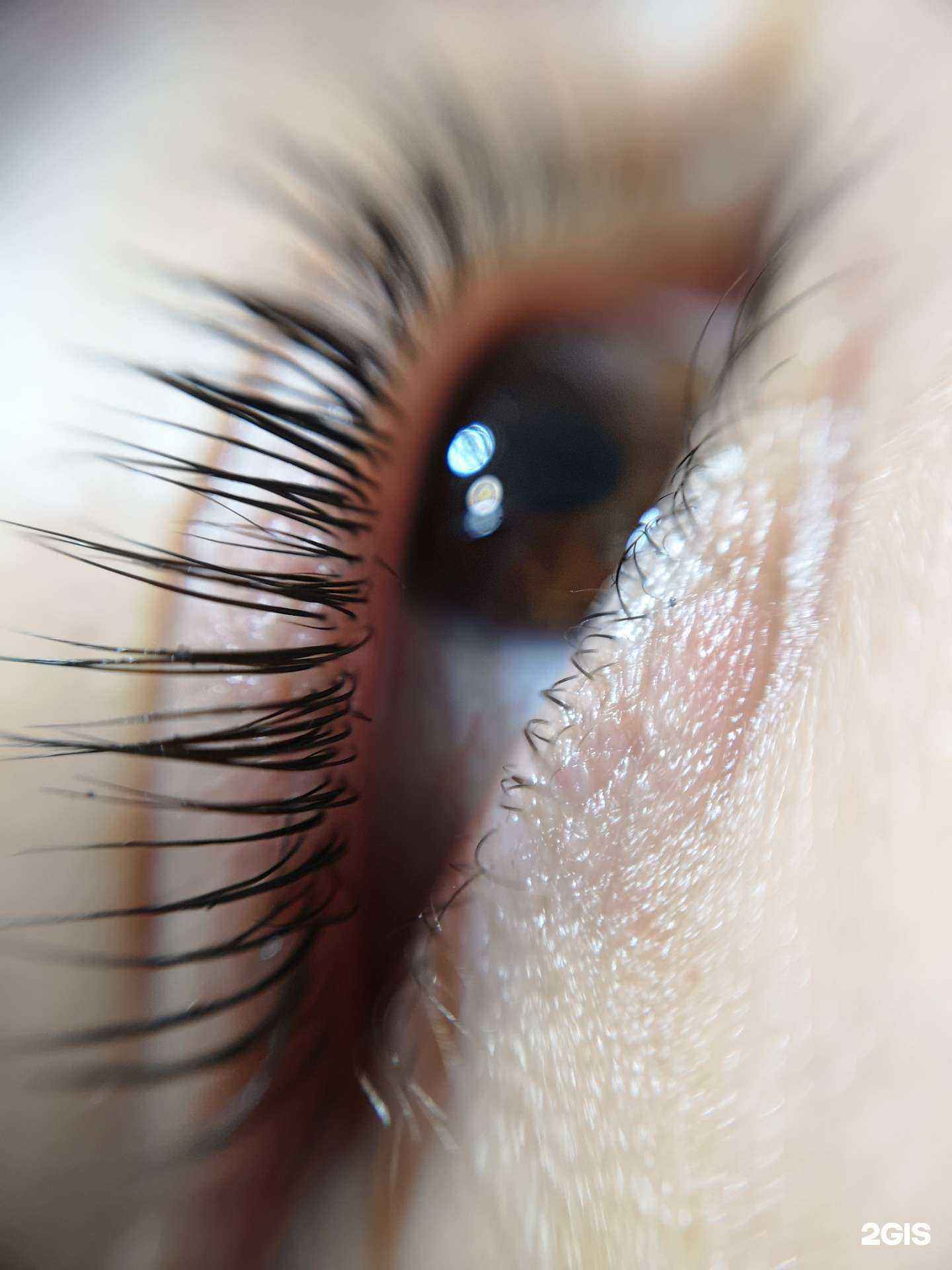 Отзывы на компанию The room в Перми c фото