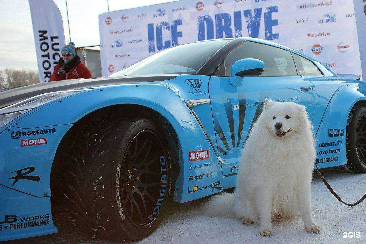 Отзывы на компанию Ниссан Клуб в Екатеринбурге c фото