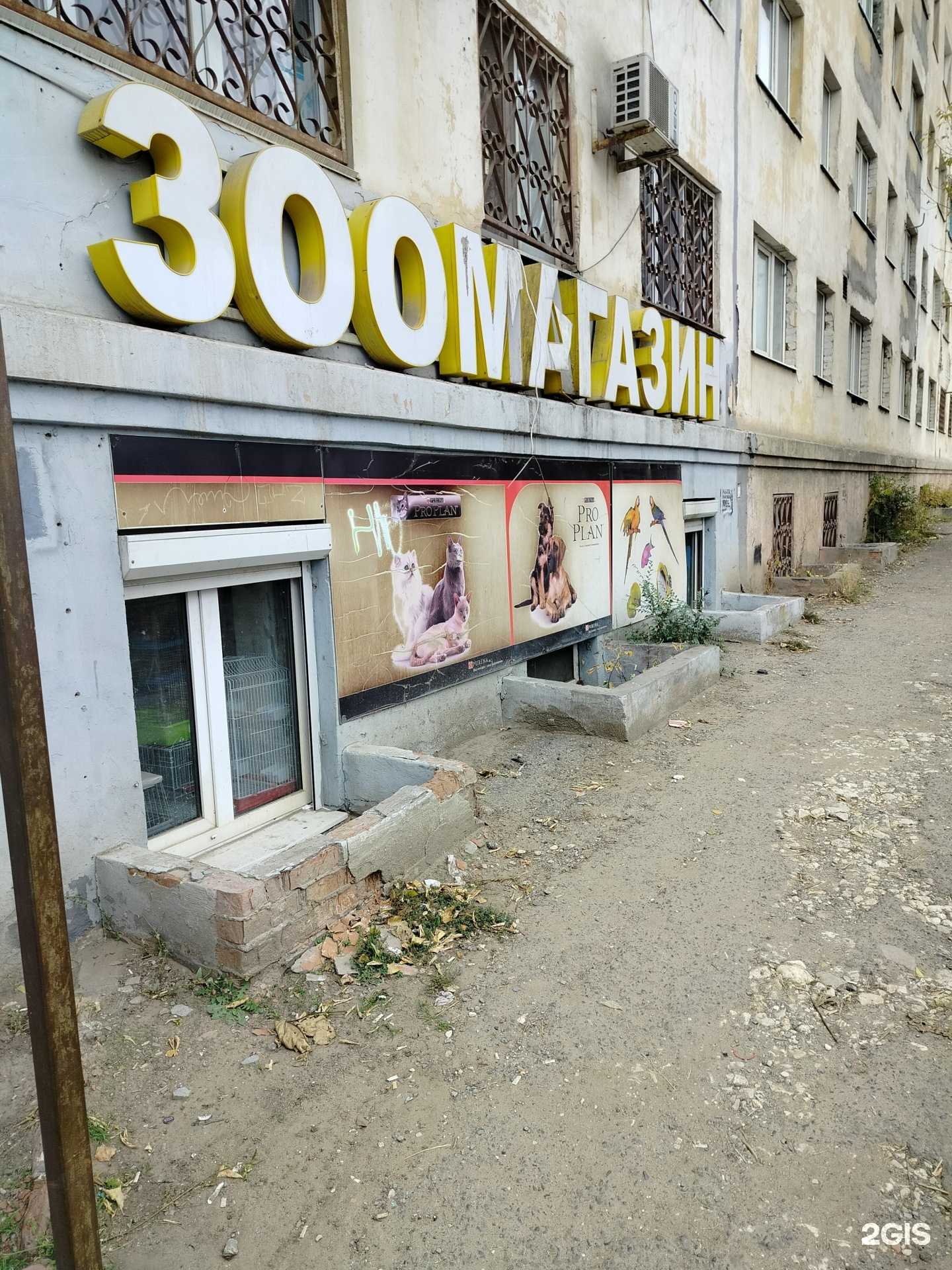 Отзывы на компанию Магазин зоотоваров в Волгограде c фото