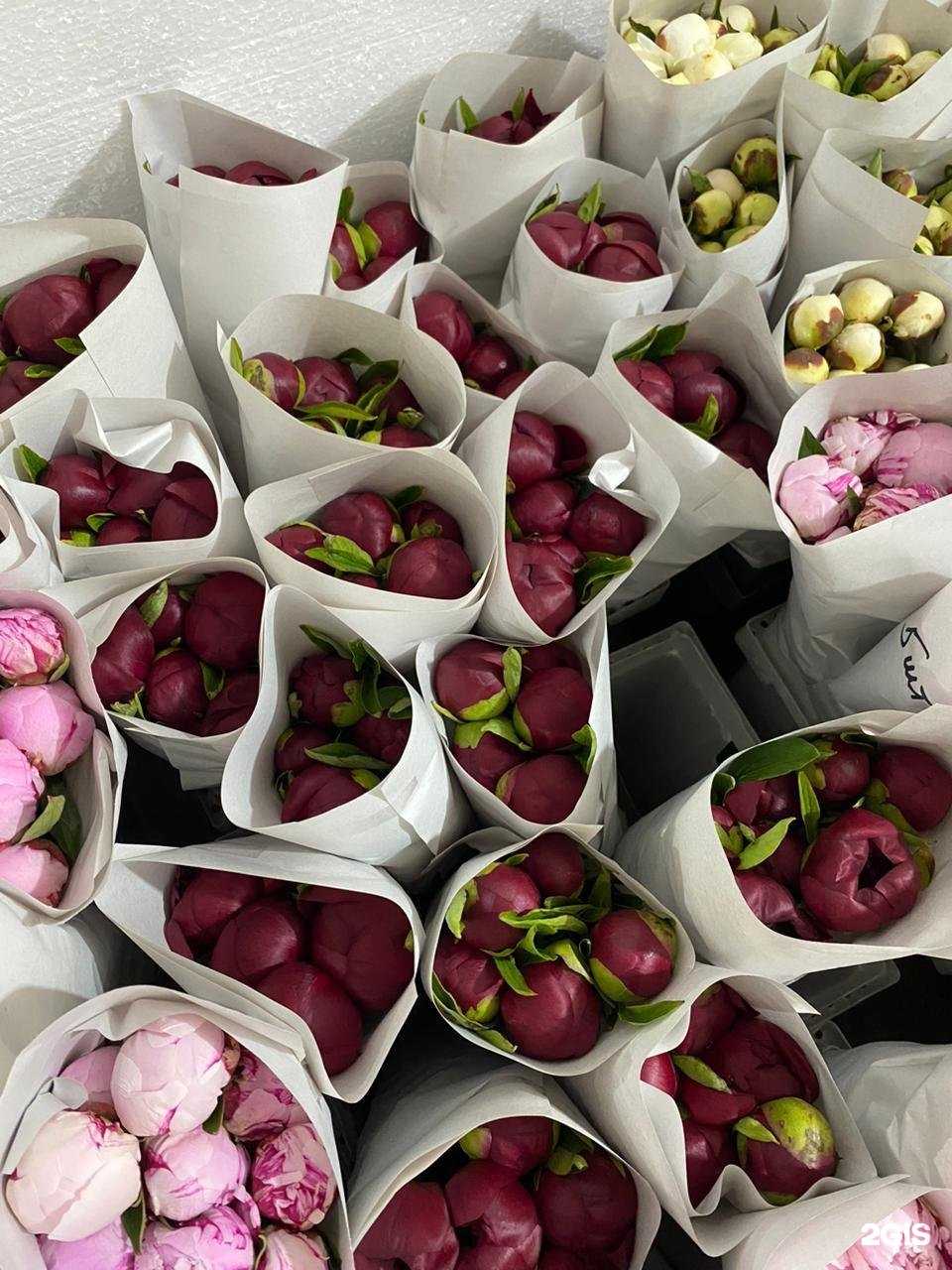 Отзывы на компанию ФлораОпт в г. Челябинск c фото