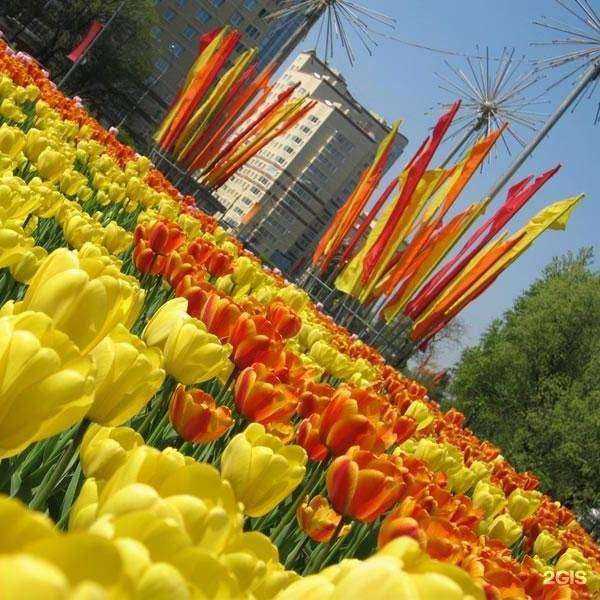 Отзывы на компанию Нетворк Логистик в г. Новосибирск c фото