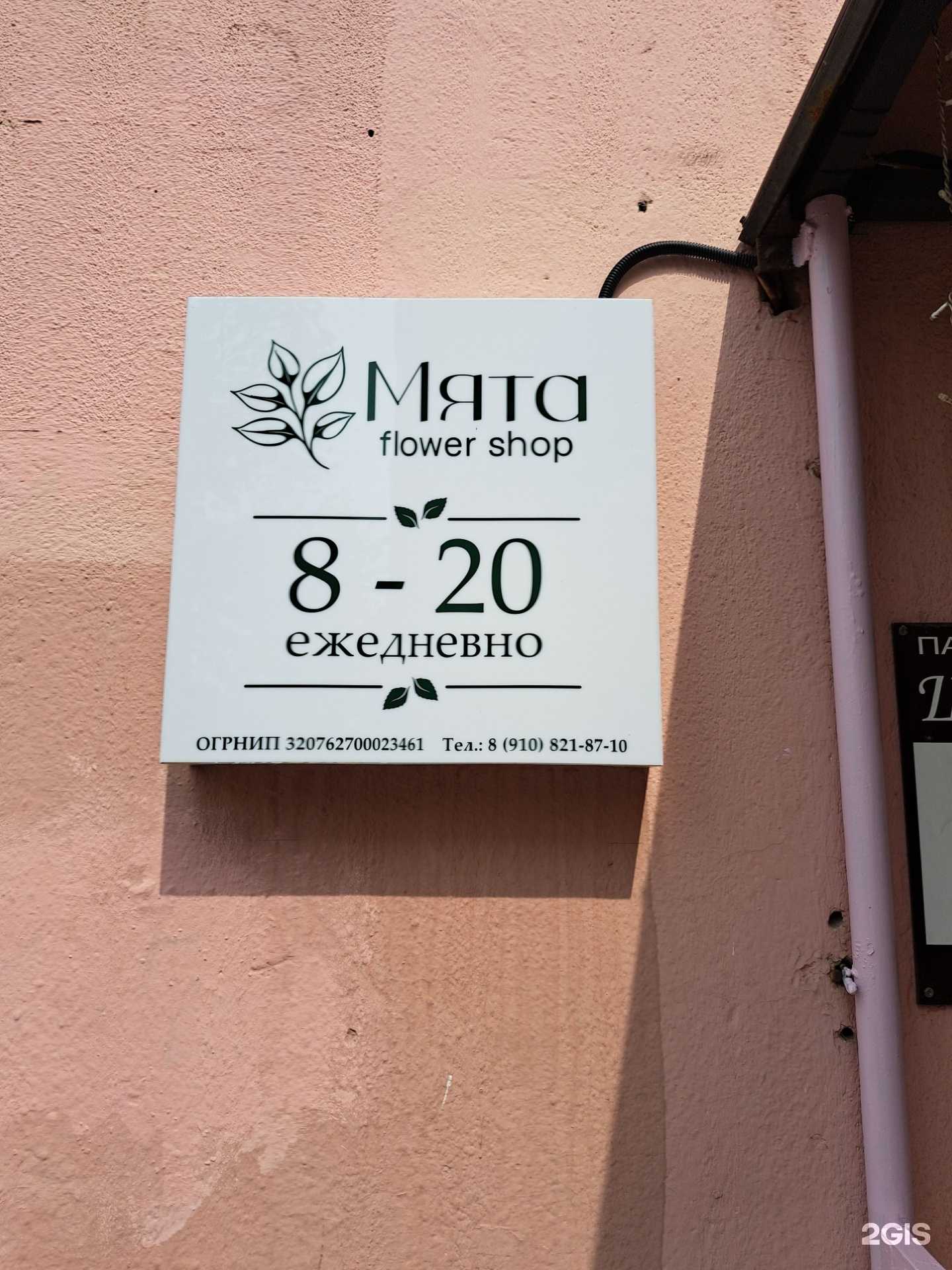 Отзывы на компанию Мята  в Ярославле c фото