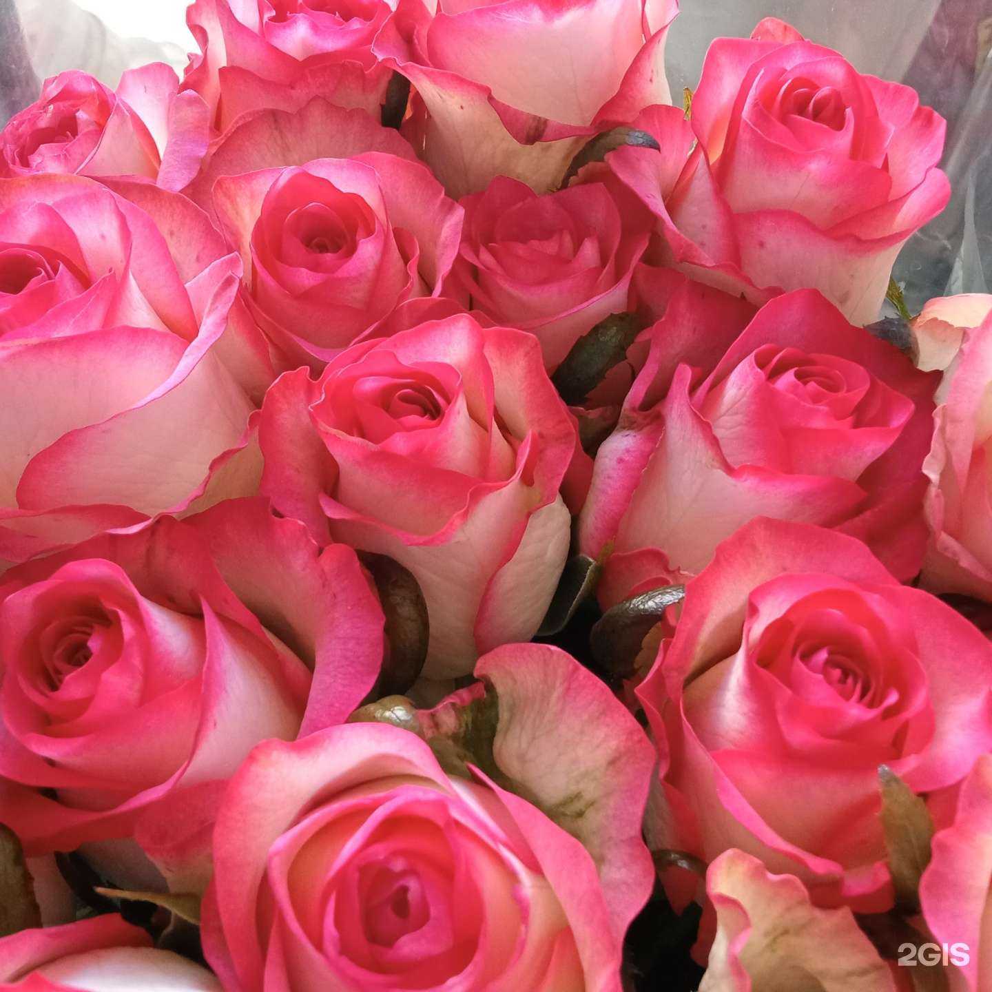 Отзывы на компанию Цветбукет в Барнауле c фото