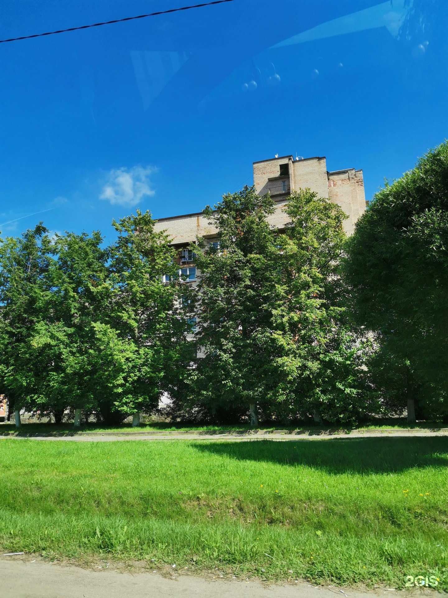 Отзывы на компанию Gooseberry в Отрадном c фото - фотография 2 из 2