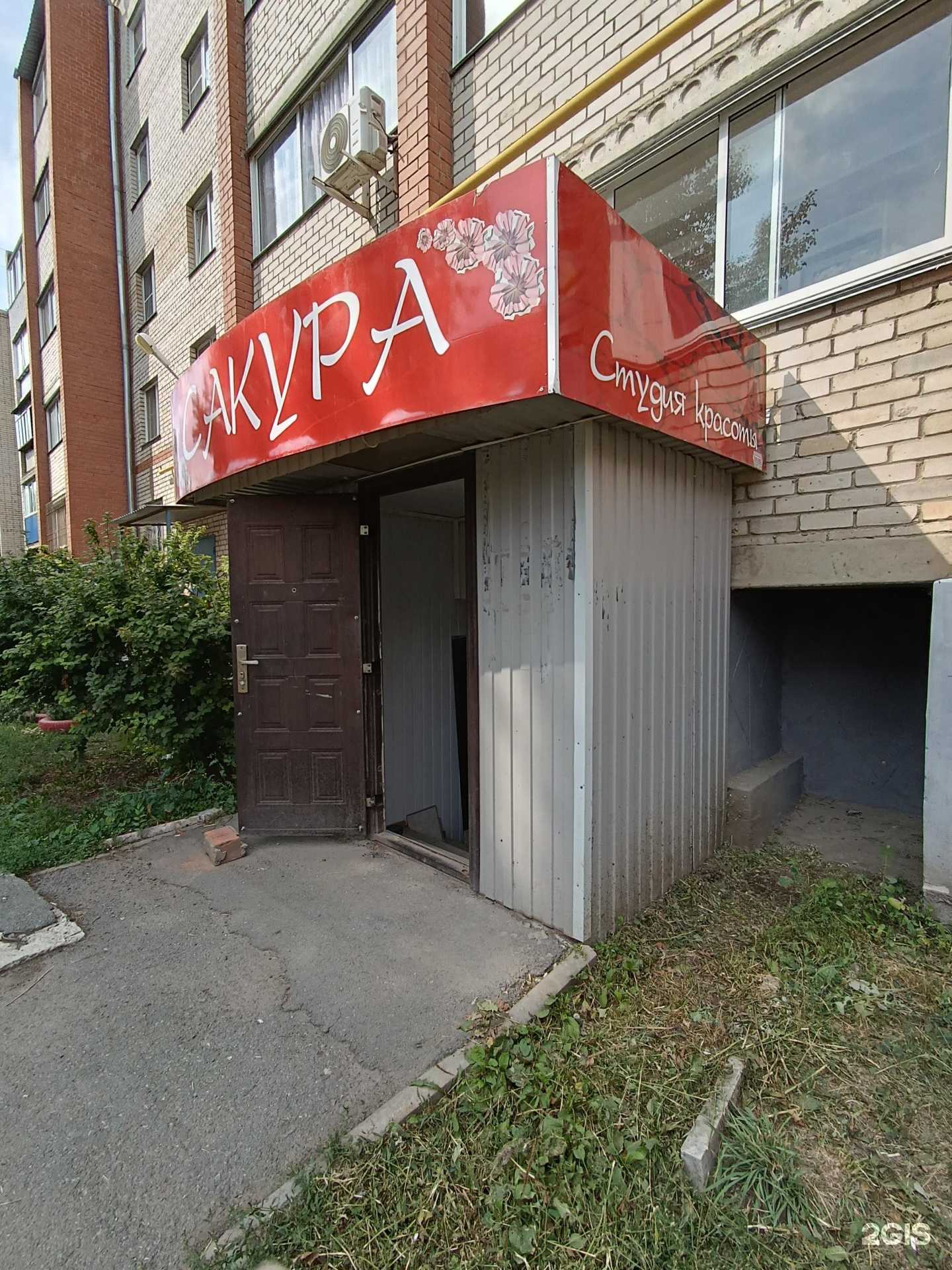 Отзывы на компанию Сакура в Коркине c фото