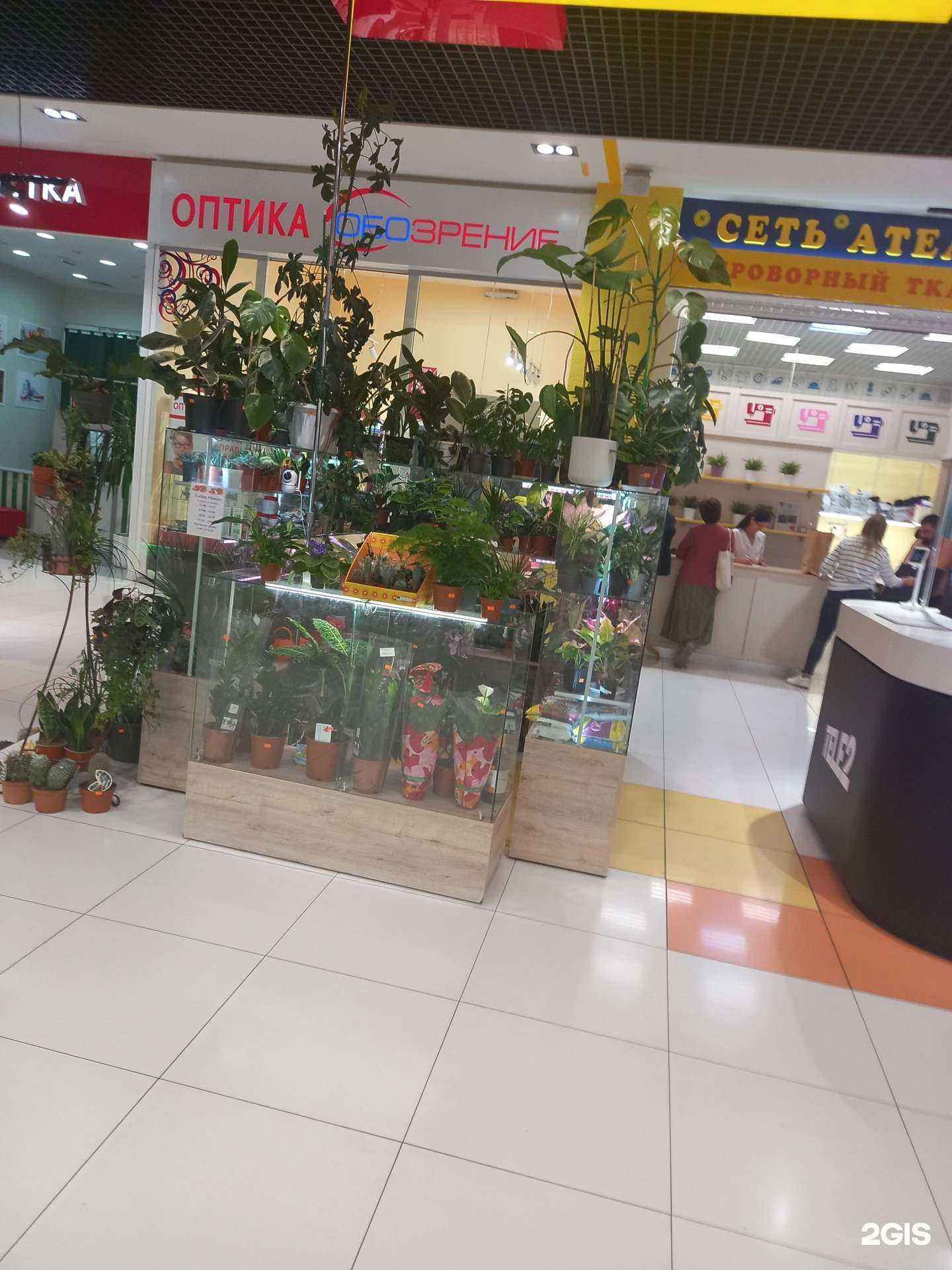 Отзывы на компанию Galina flowers в Таганроге c фото