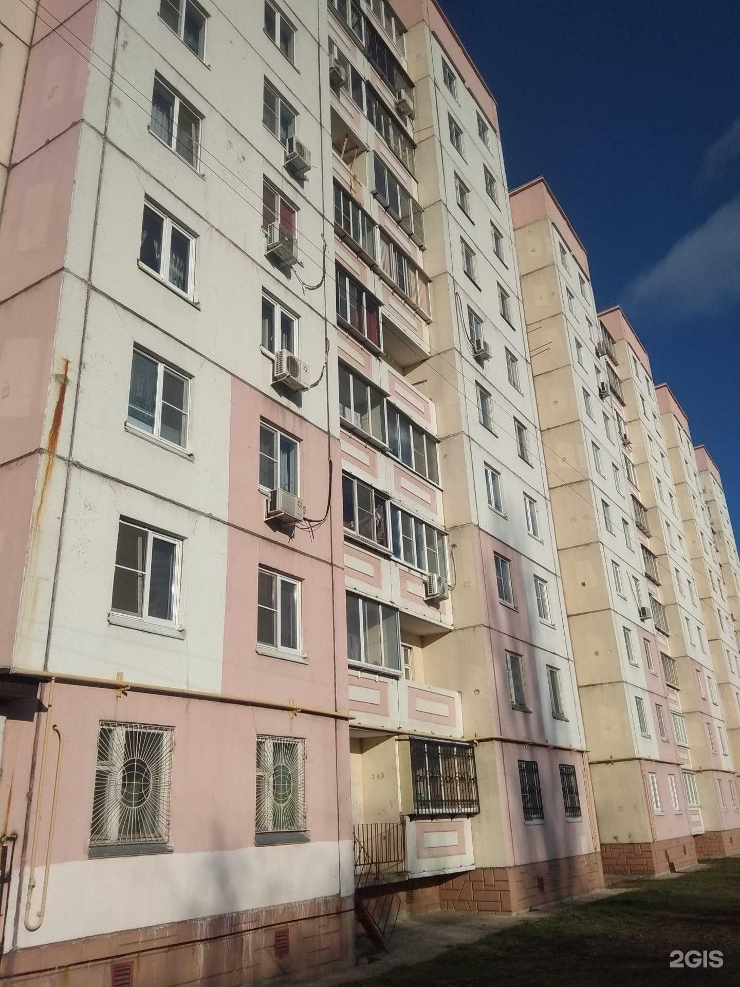 Отзывы на компанию Галерея улыбок в Липецке c фото - фотография 2 из 2