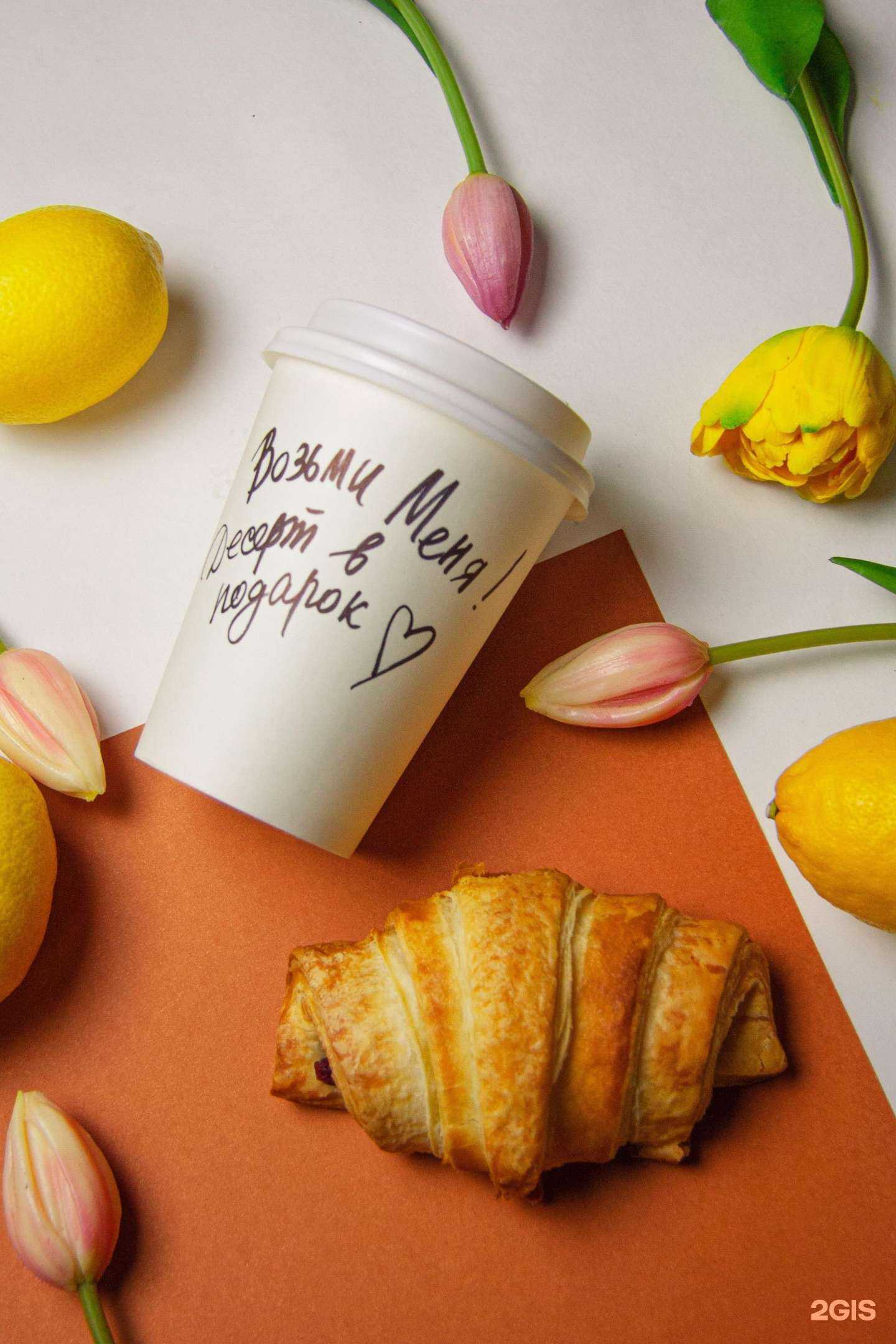 Отзывы на компанию Лава в г. Архангельск c фото