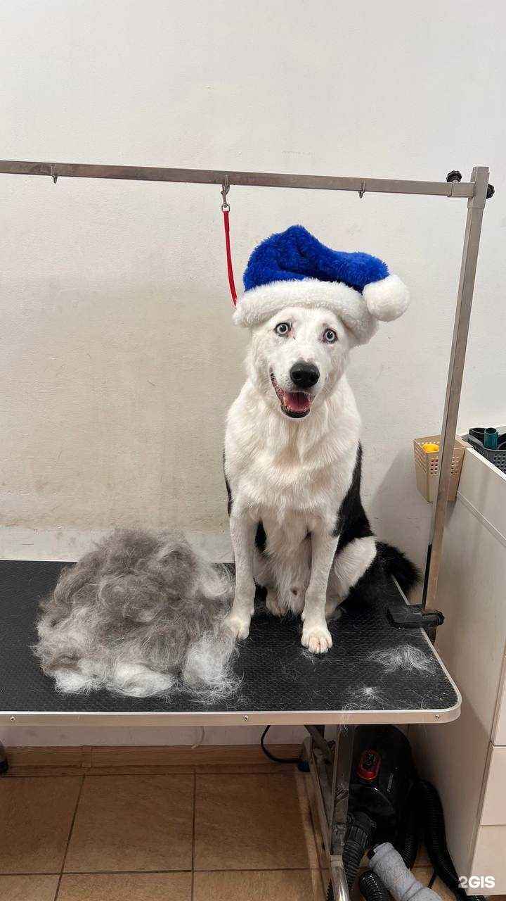 Отзывы на компанию Crazy Lazy Groom в г. Калининград c фото