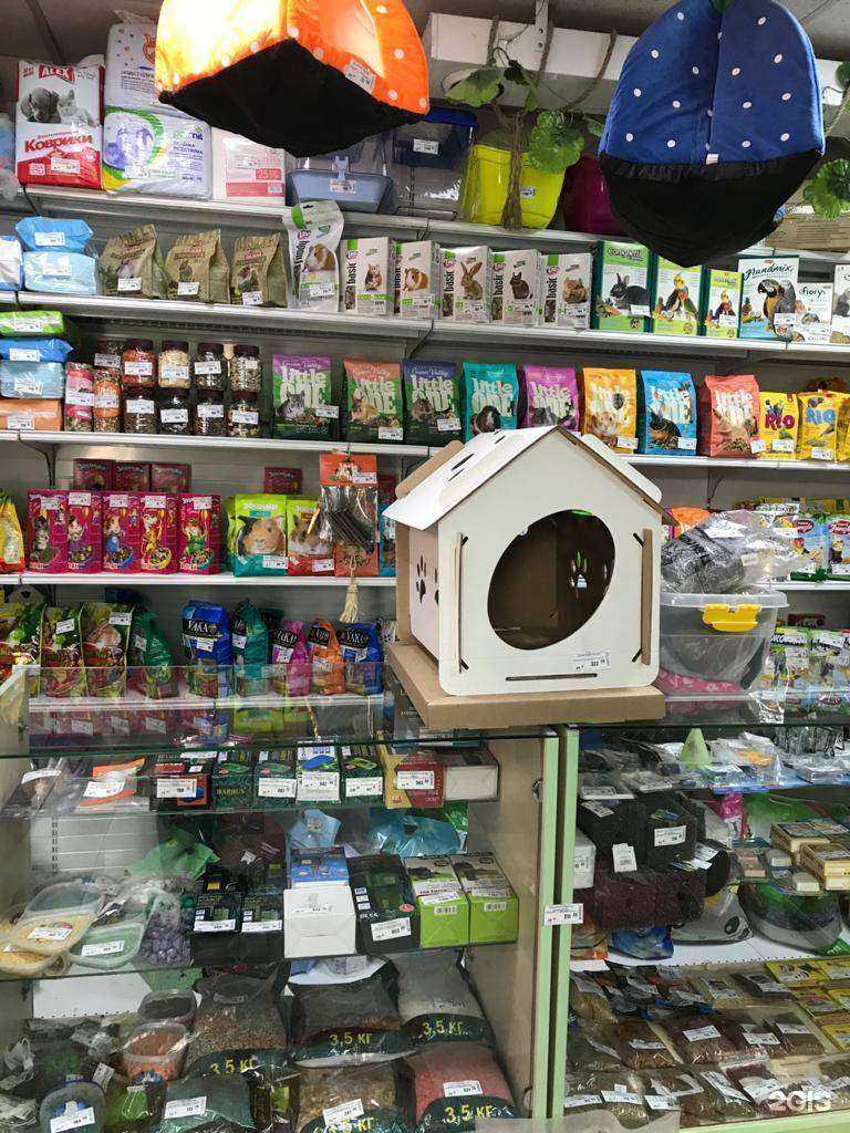 Отзывы на компанию Джунгли в Барнауле c фото