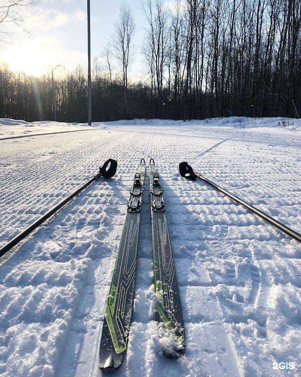 Отзывы на компанию Динамо в Туле c фото