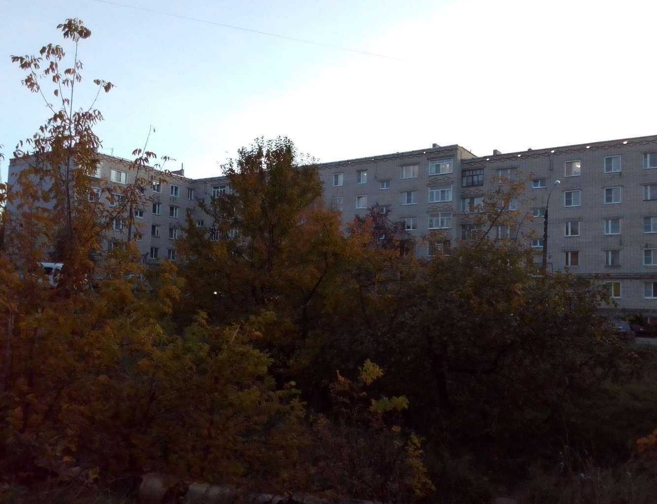 Отзывы на компанию Детский дворик в Арзамасе c фото - фотография 2 из 2