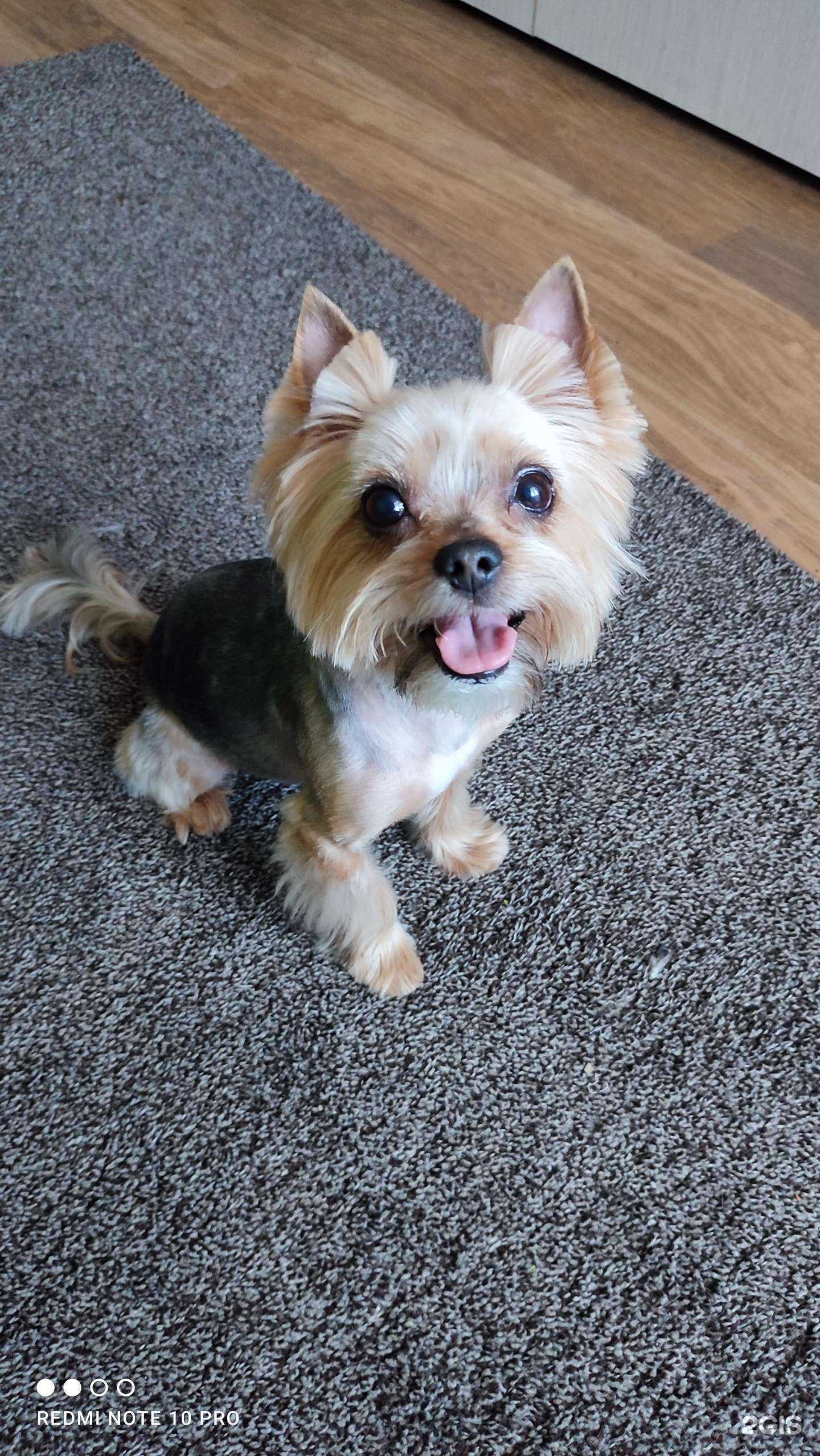 Отзывы на компанию Красный кролик в г. Новосибирск c фото