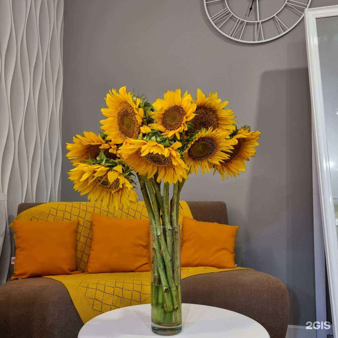 Отзывы на компанию Losk в Краснодаре c фото