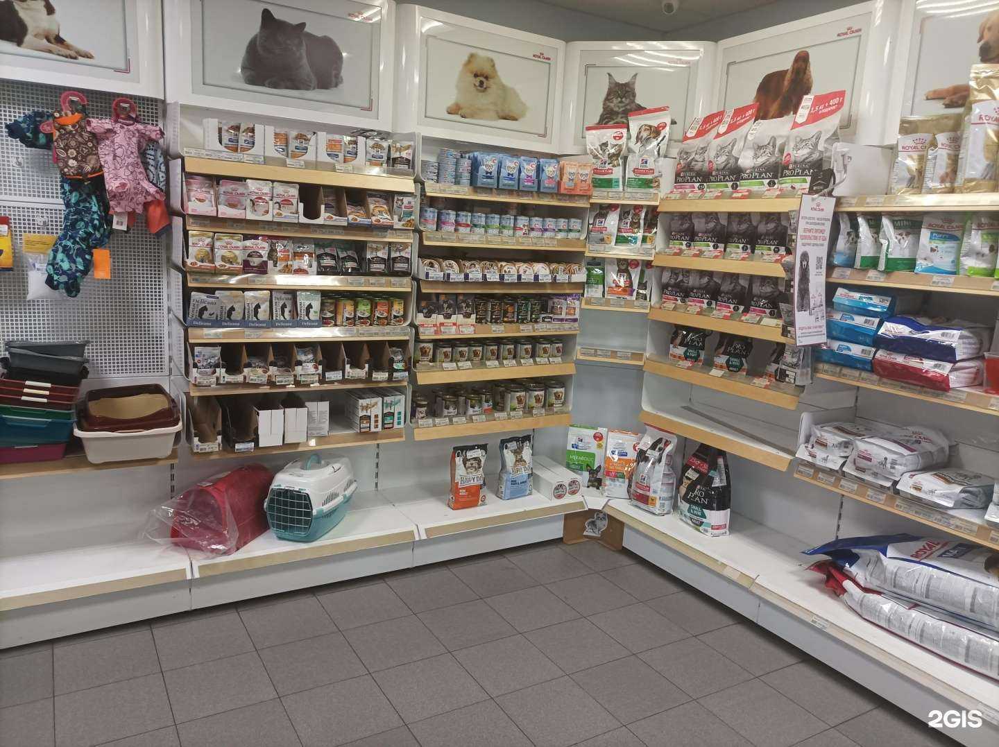 Отзывы на компанию Кот Бегемот в г. Коммунарка c фото