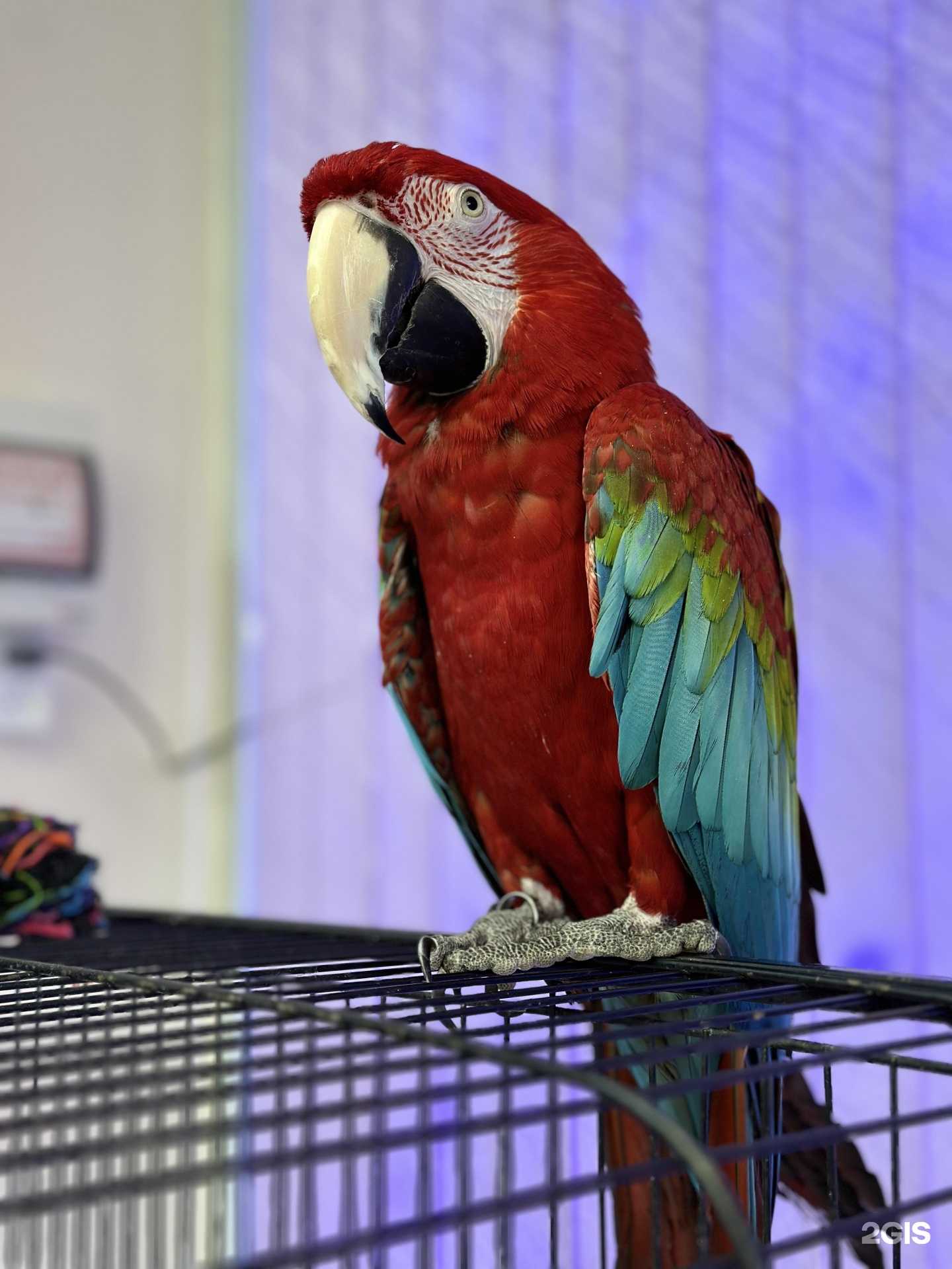 Отзывы на компанию Цирюльня на Сулимова в Екатеринбурге c фото