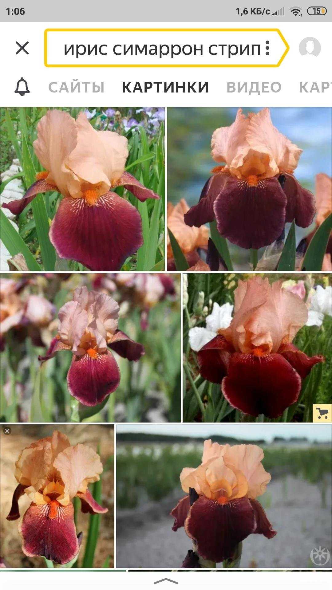 Отзывы на компанию Урожай в г. Екатеринбург c фото