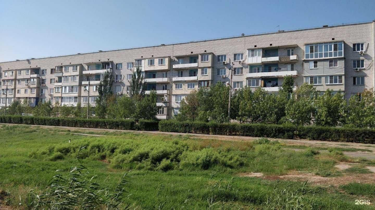 Отзывы на компанию Любимые питомцы в Астрахани c фото - фотография 2 из 2