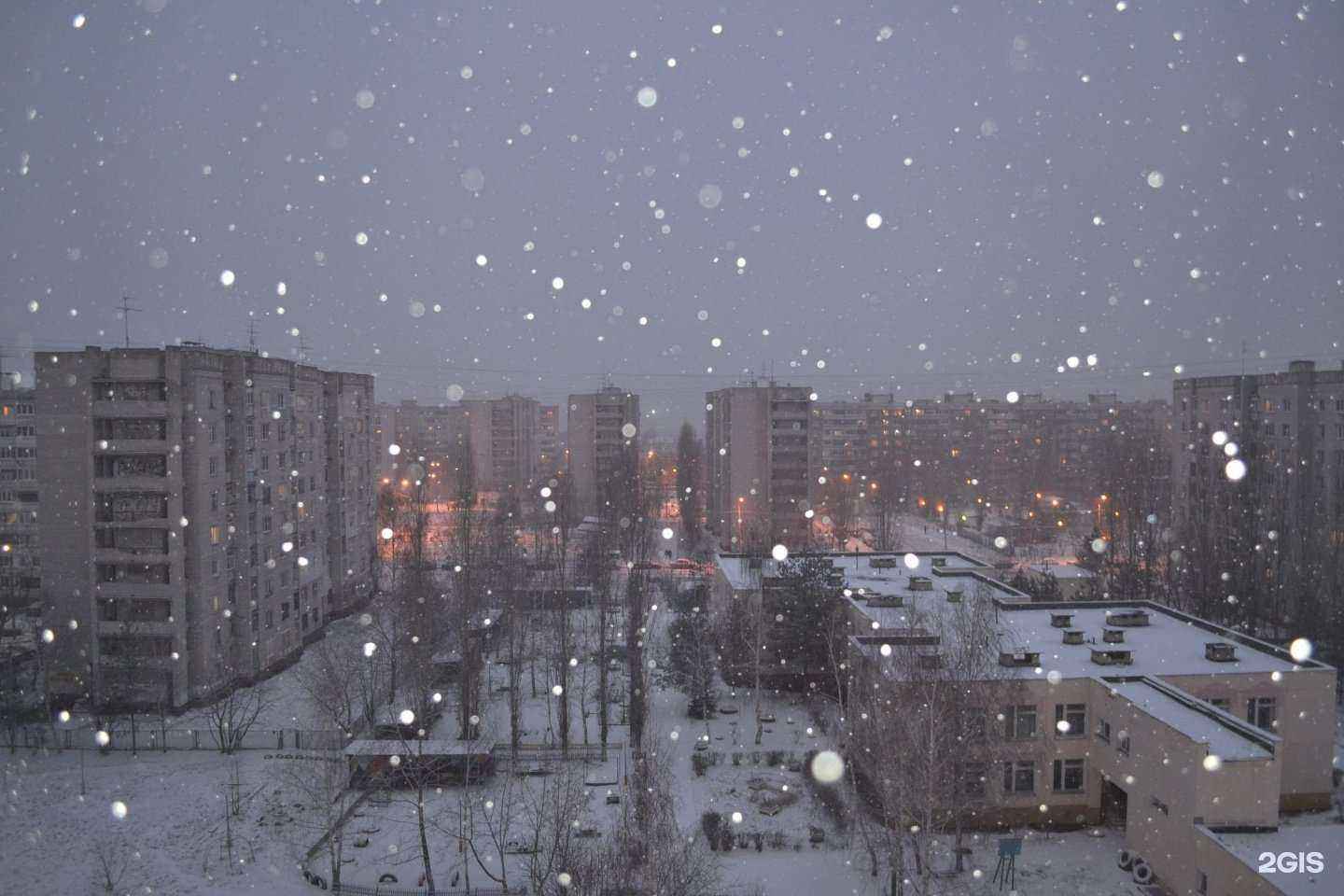 Отзывы на компанию Шестая стрижка в г. Нижний Новгород c фото